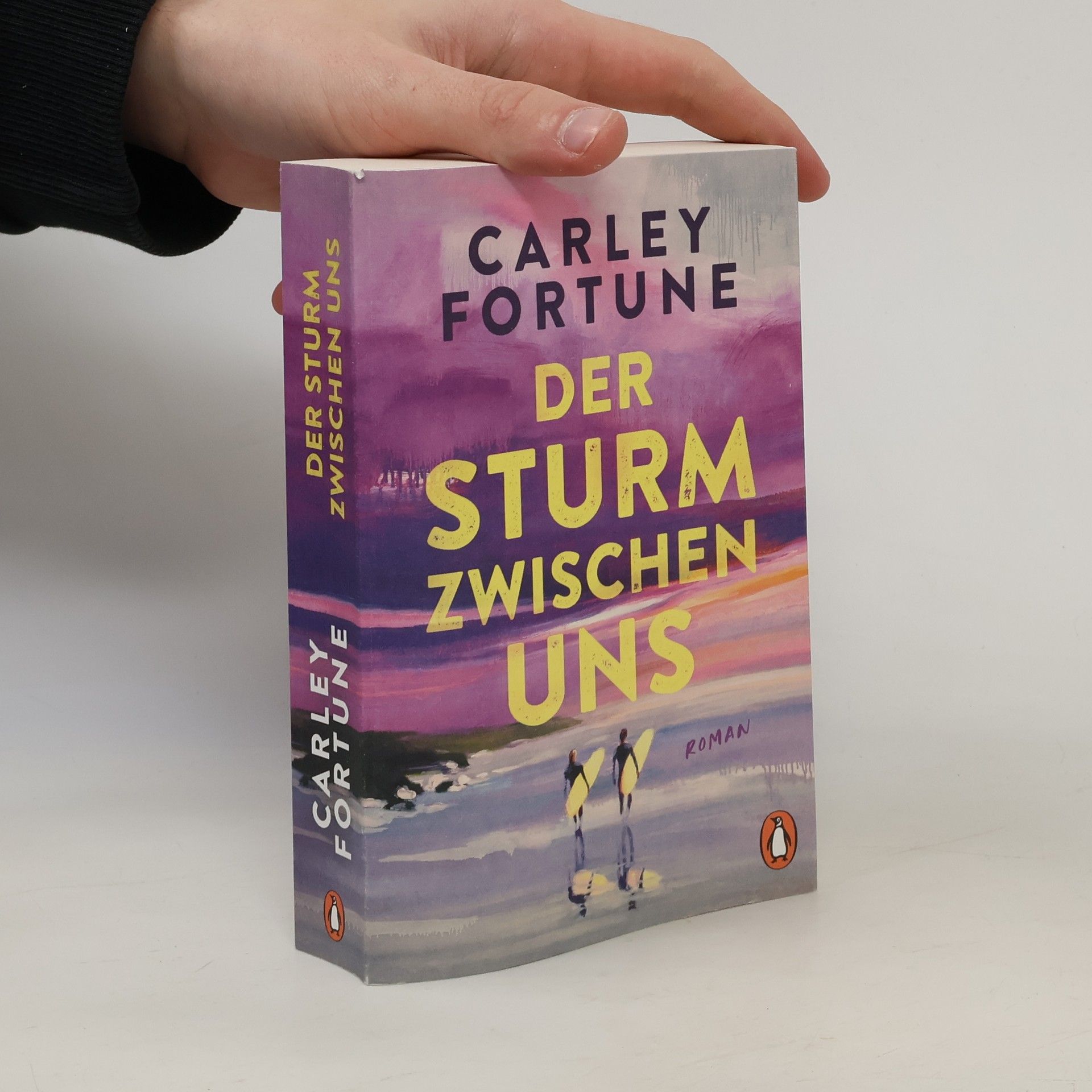 Carley Fortune Der Sturm zwischen uns