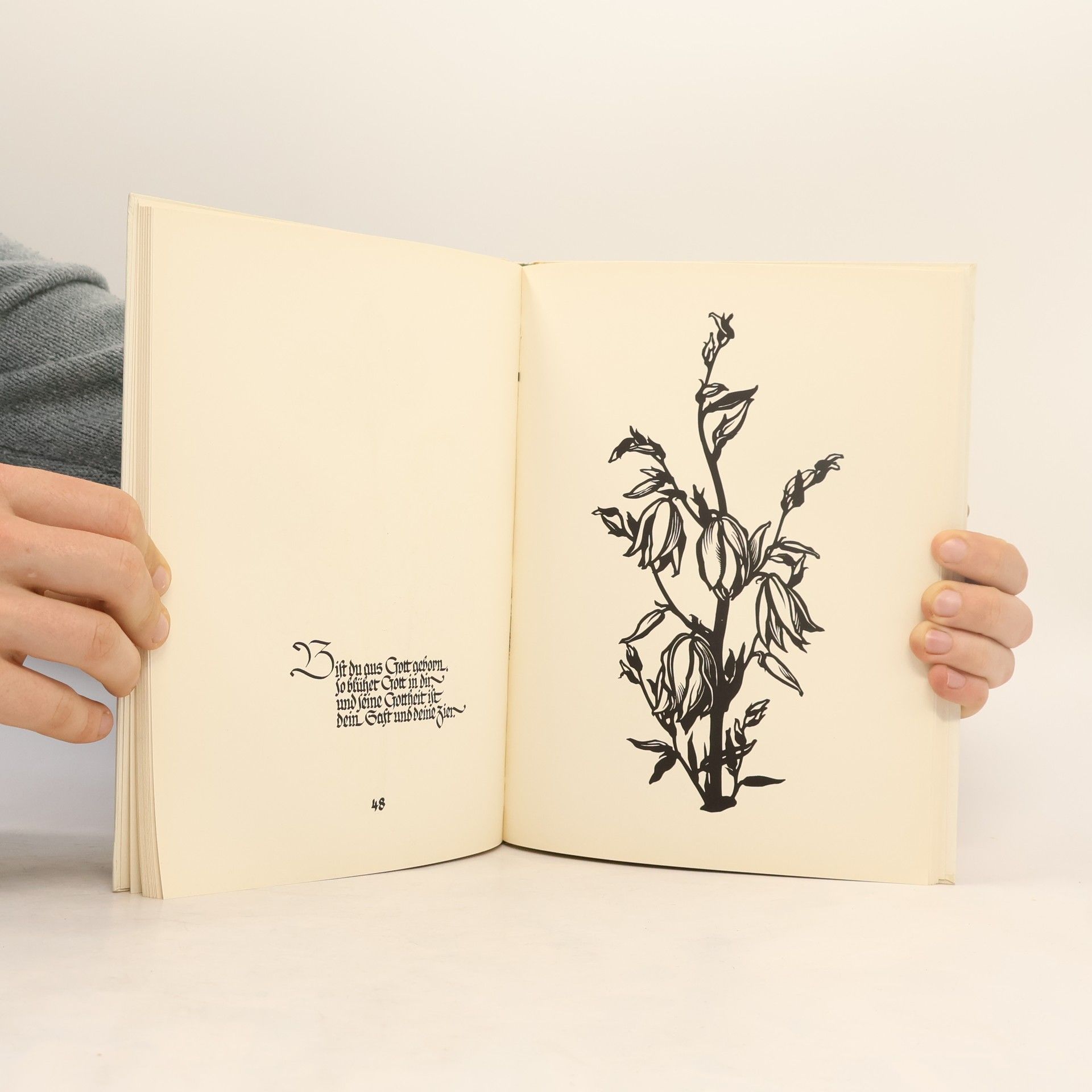 Dorothea Brockmann Blumen in Scherenschnitten