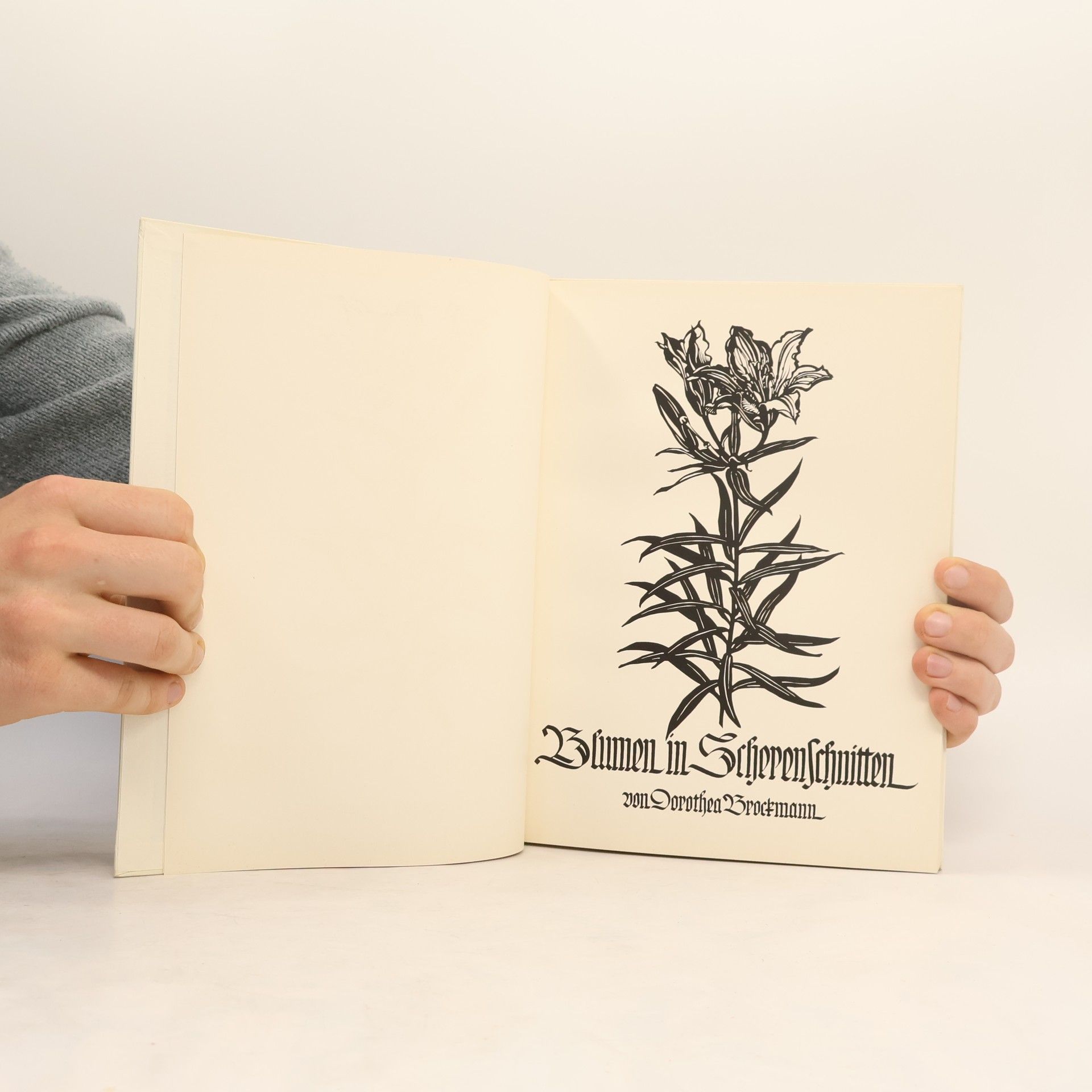 Dorothea Brockmann Blumen in Scherenschnitten