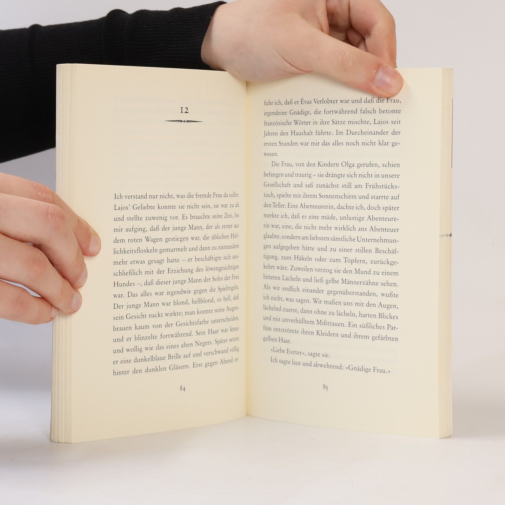 Sándor Márai Das Vermächtnis der Eszter