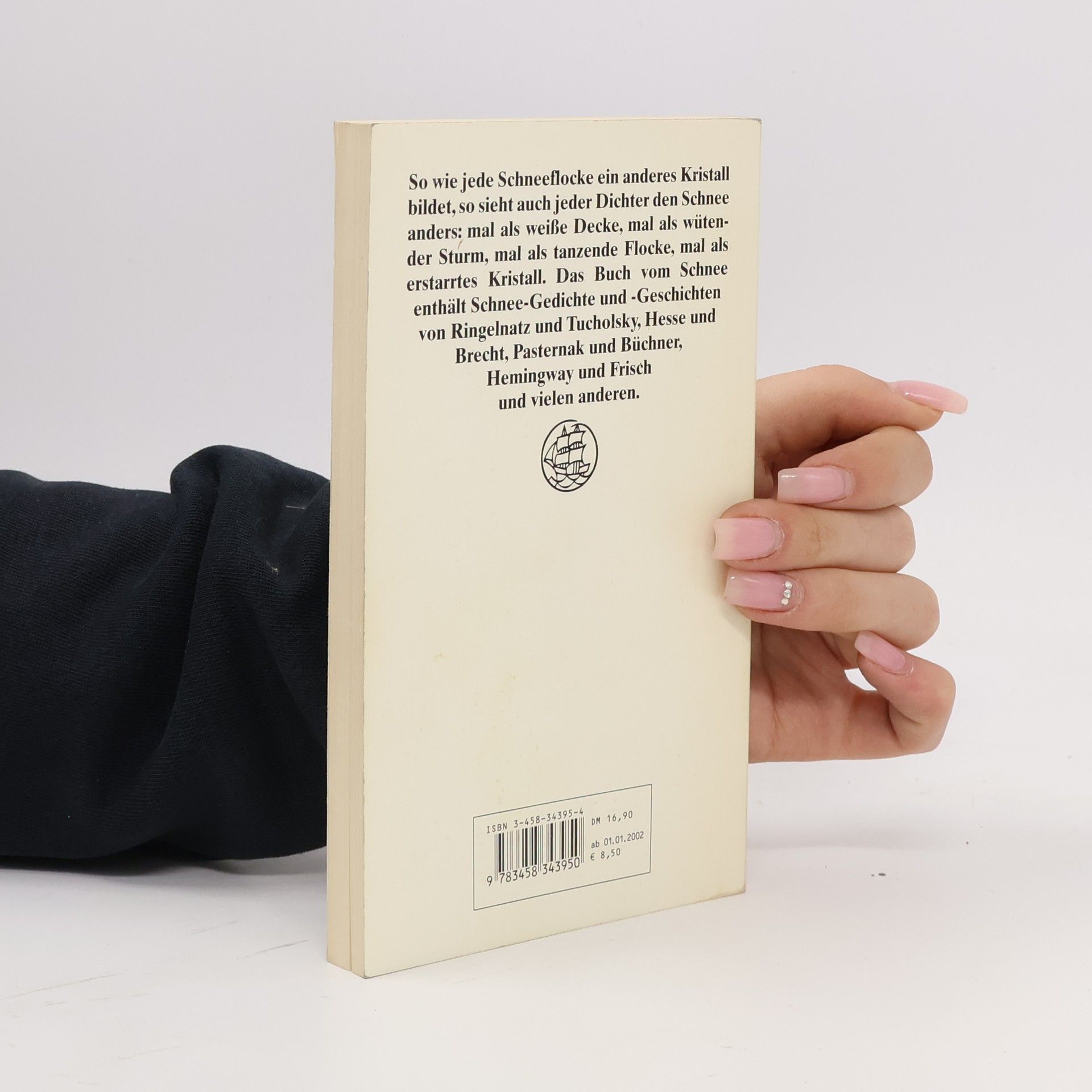 Simone Frieling Das Buch vom Schnee