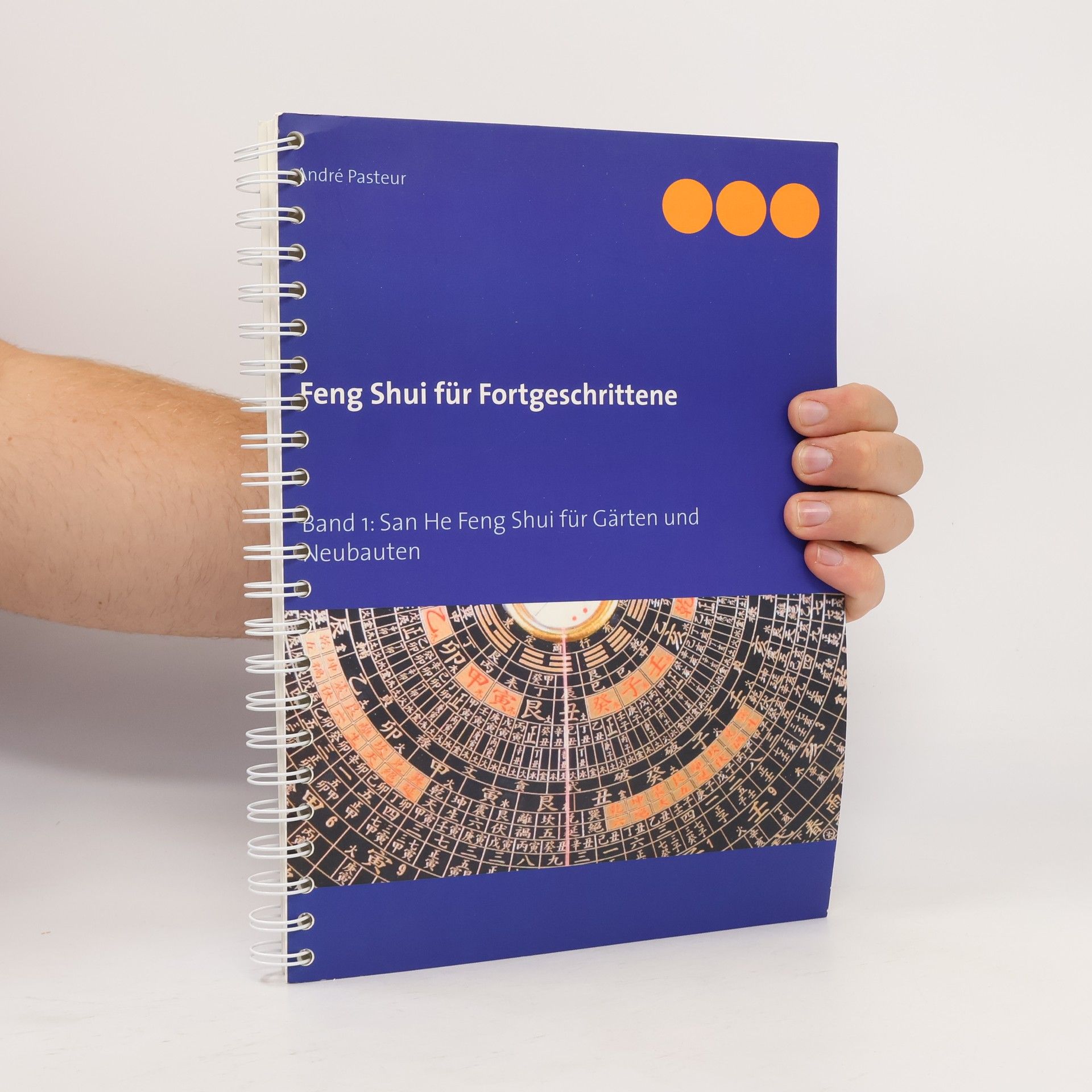 Andre Pasteur Feng Shui für Fortgeschrittene. Bd.1