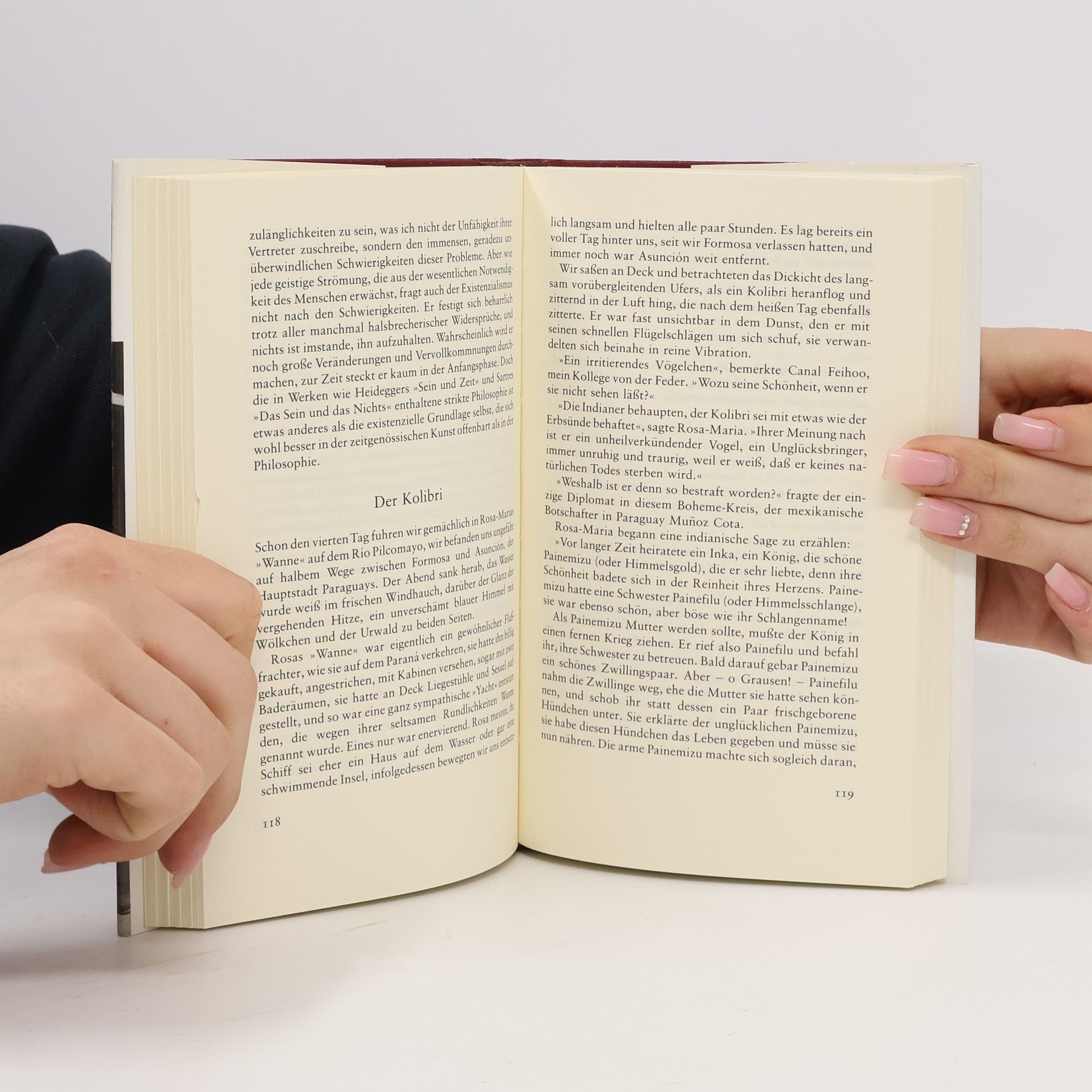 Witold Gombrowicz Argentinische Streifzüge und andere Schriften