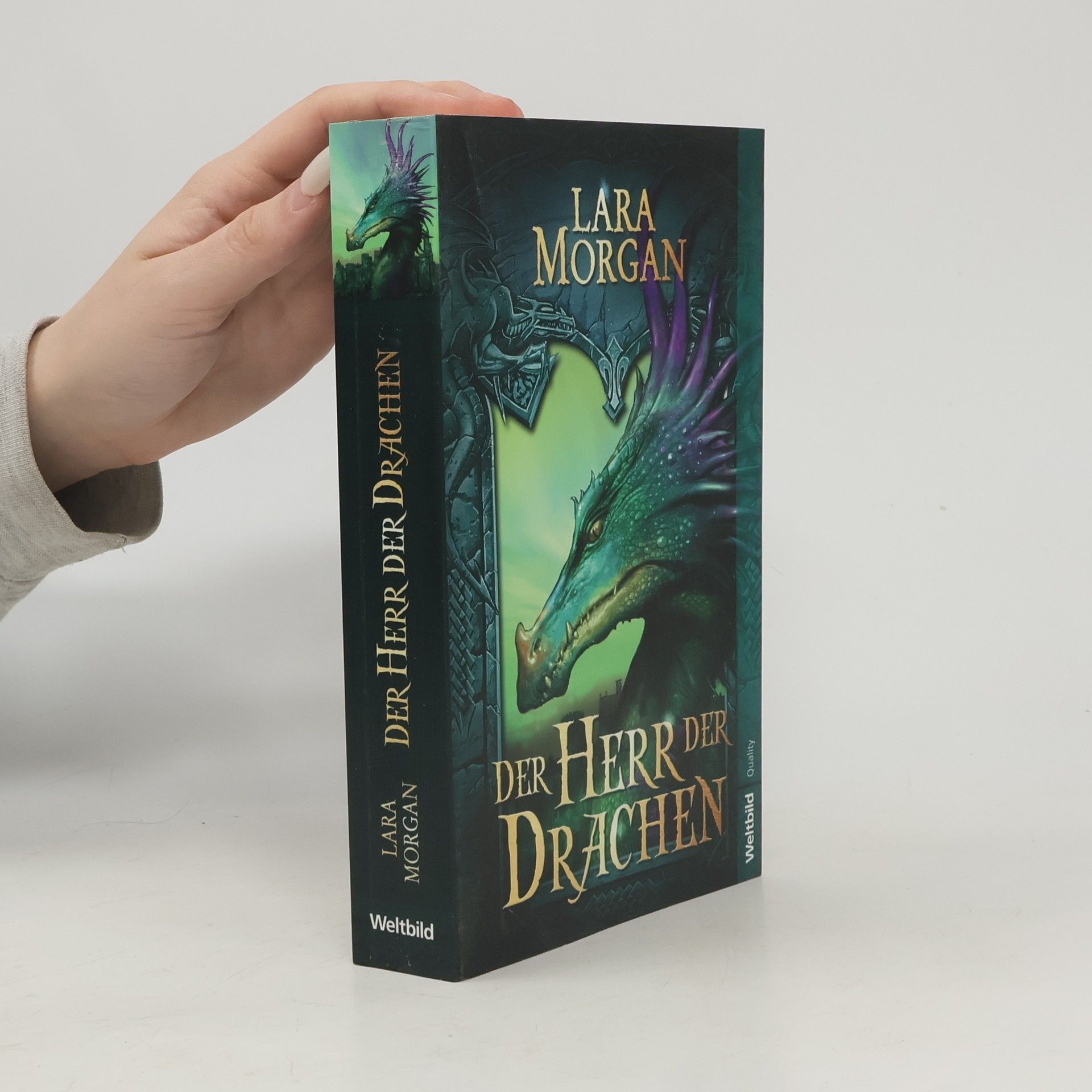 Lara Morgan Der Herr der Drachen