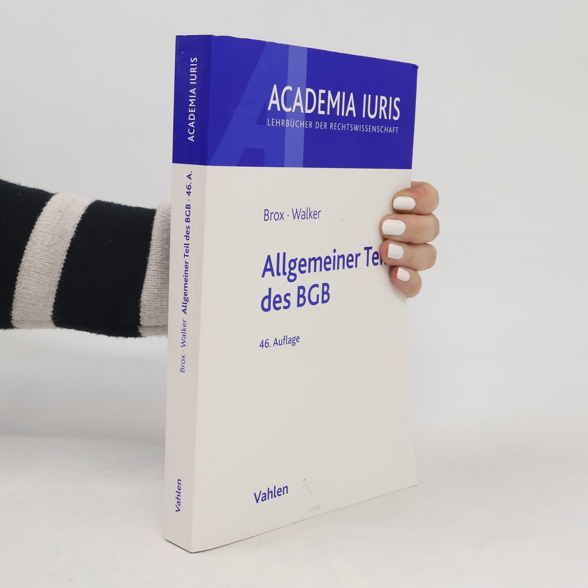 Hans Brox Allgemeiner Teil des BGB