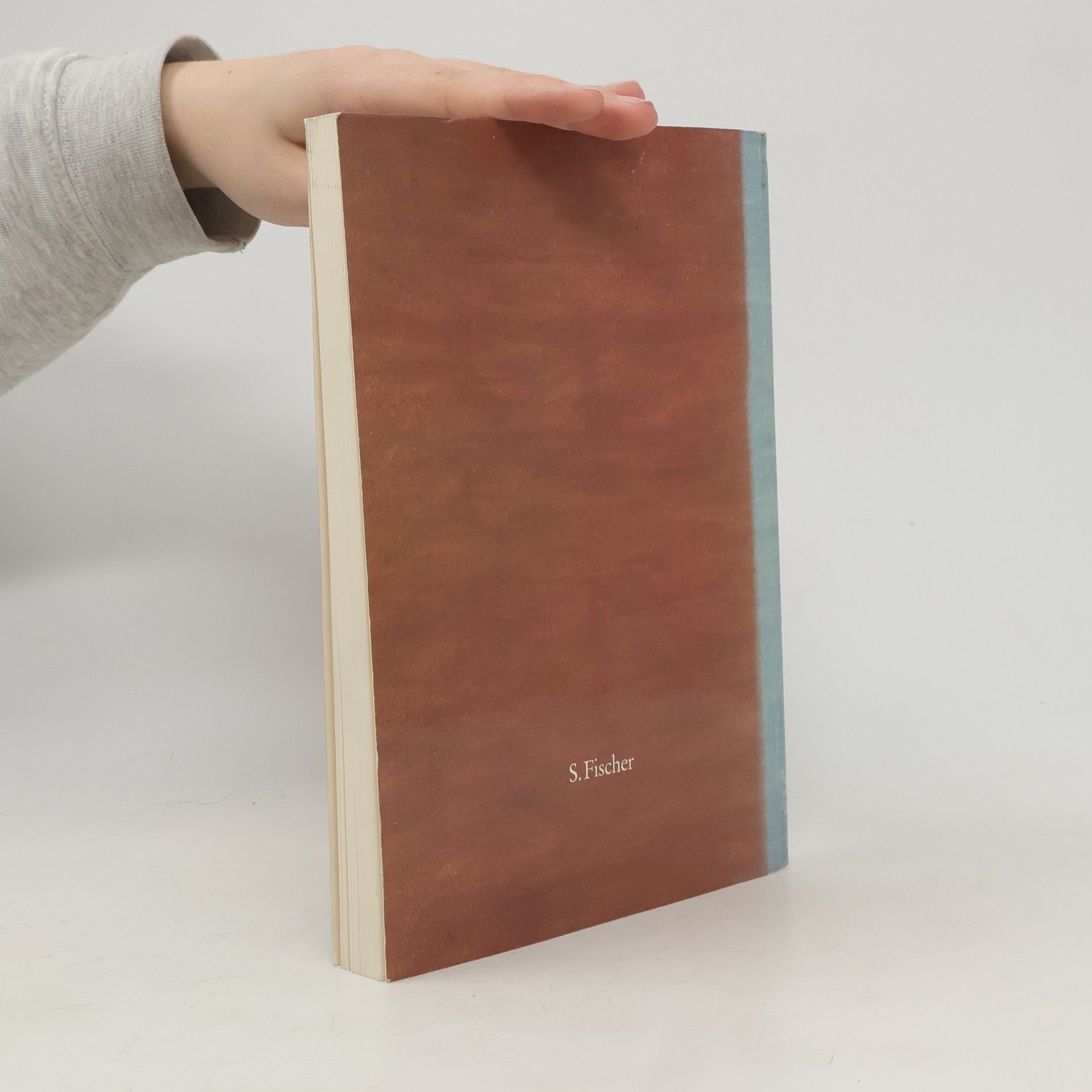 Rainer Kahsnitz Das Goldene Evangelienbuch von Echternach