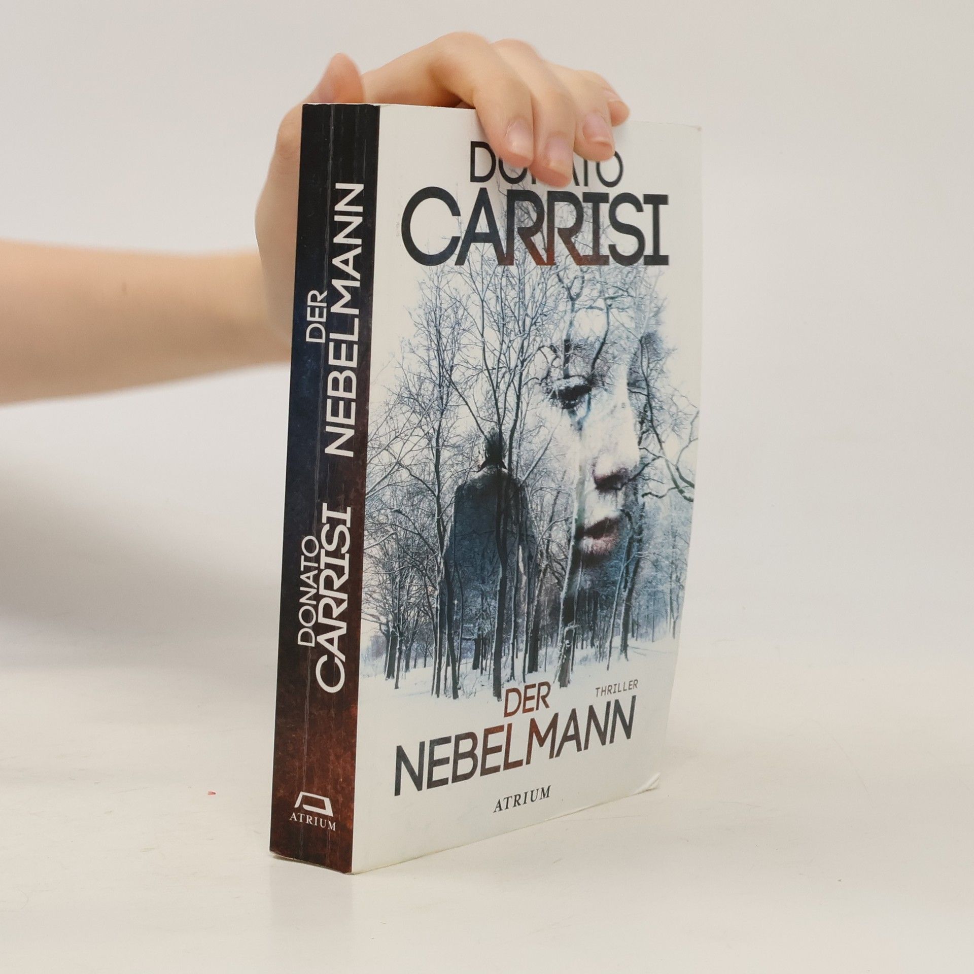 Donato Carrisi Der Nebelmann