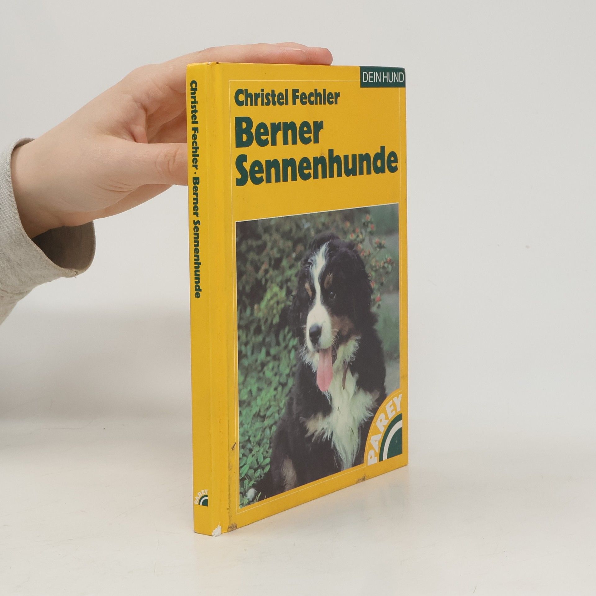Christel Fechler Berner Sennenhunde