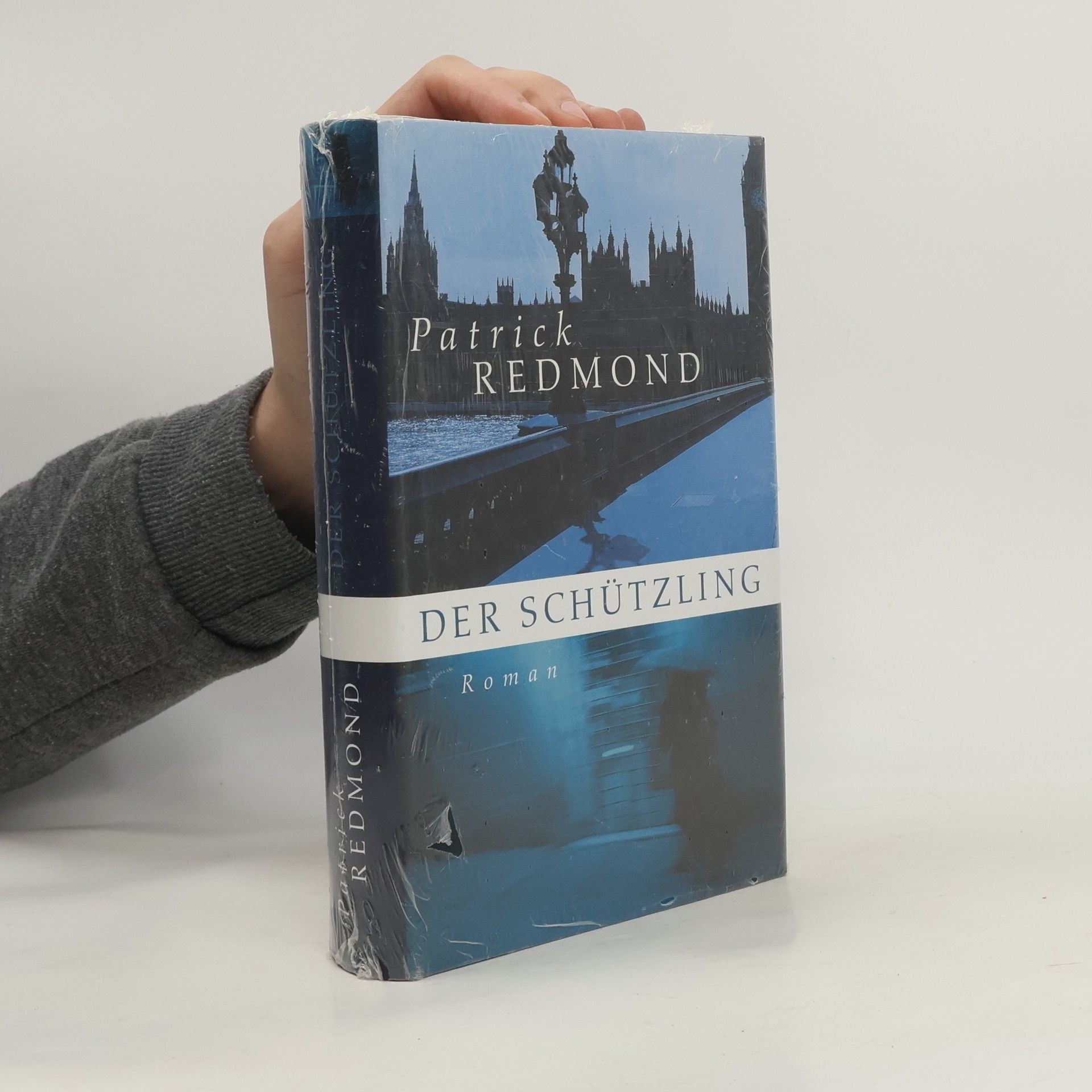 Patrick Redmond Der Schützling