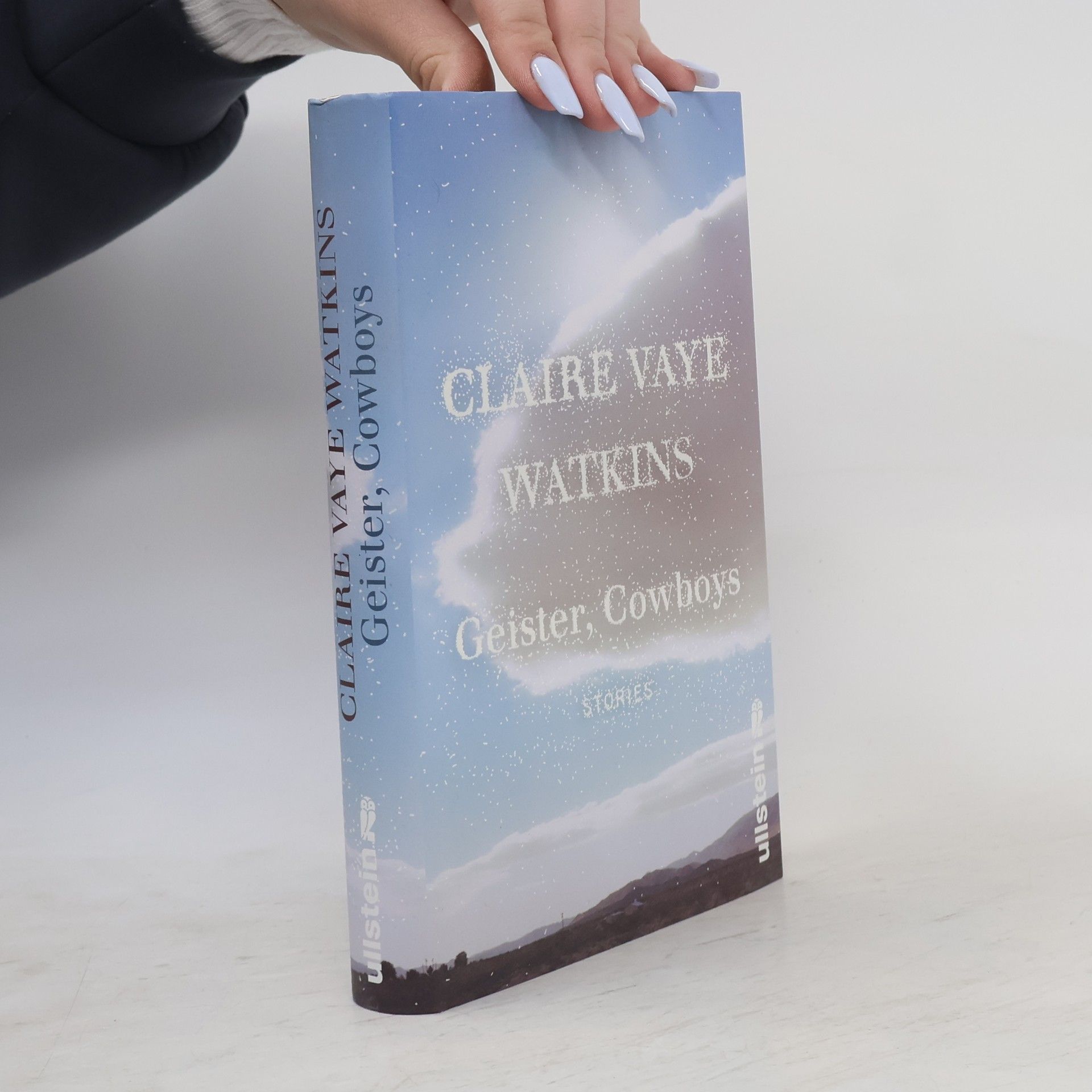 Claire Vaye Watkins Geister, Cowboys