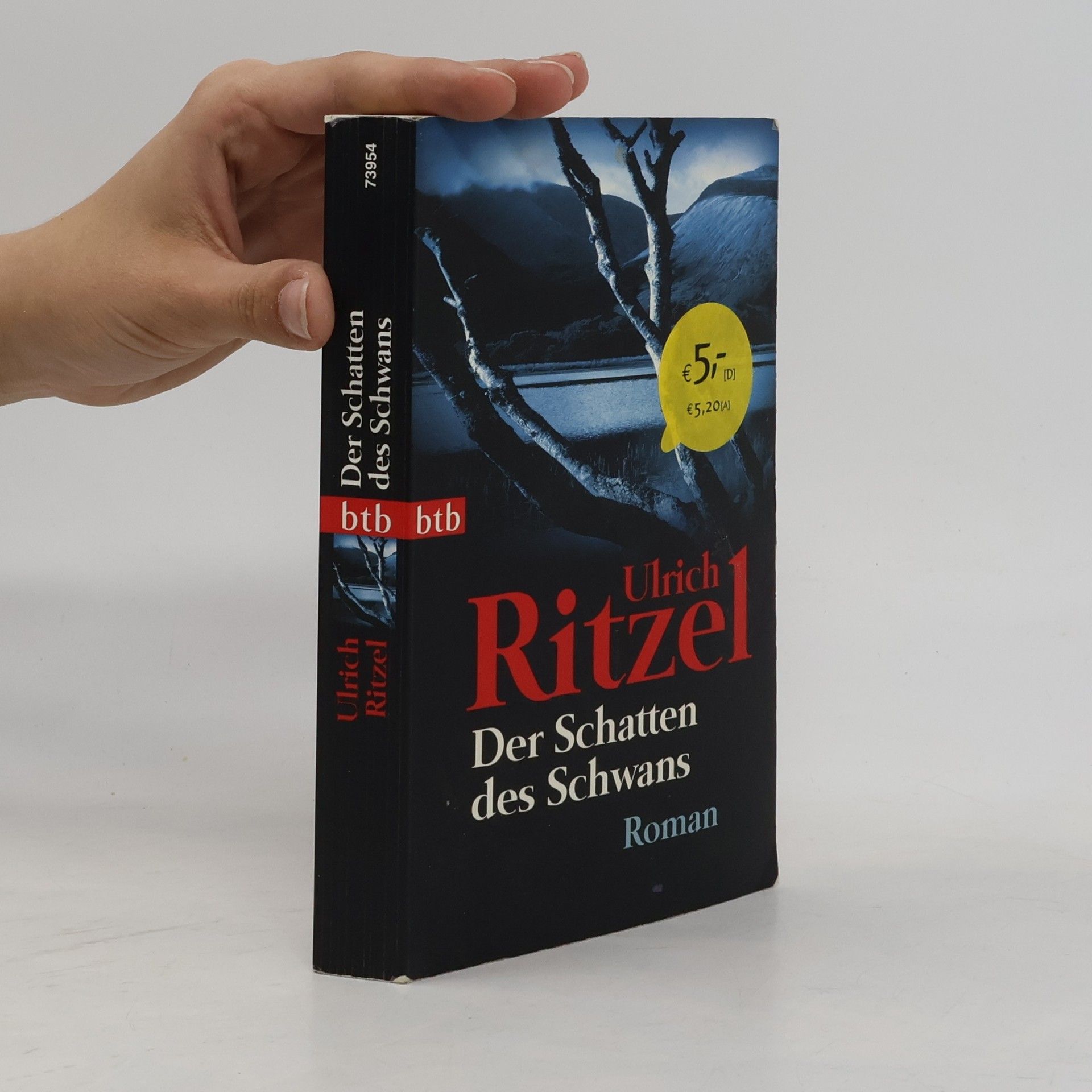 Ulrich Ritzel Der Schatten des Schwans