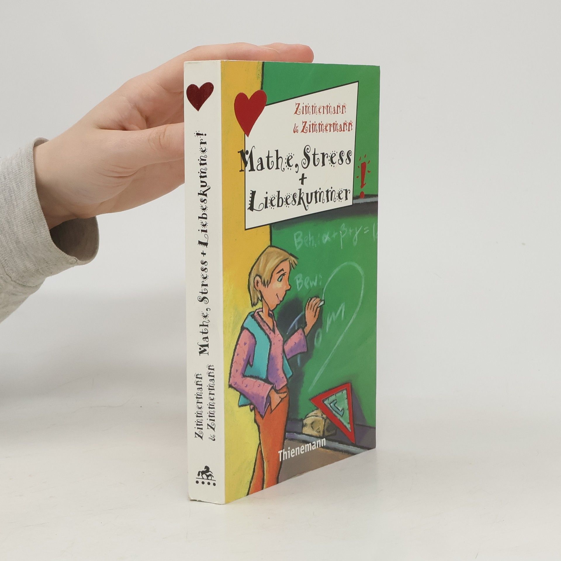 Irene Zimmermann Mathe, Stress + Liebeskummer!