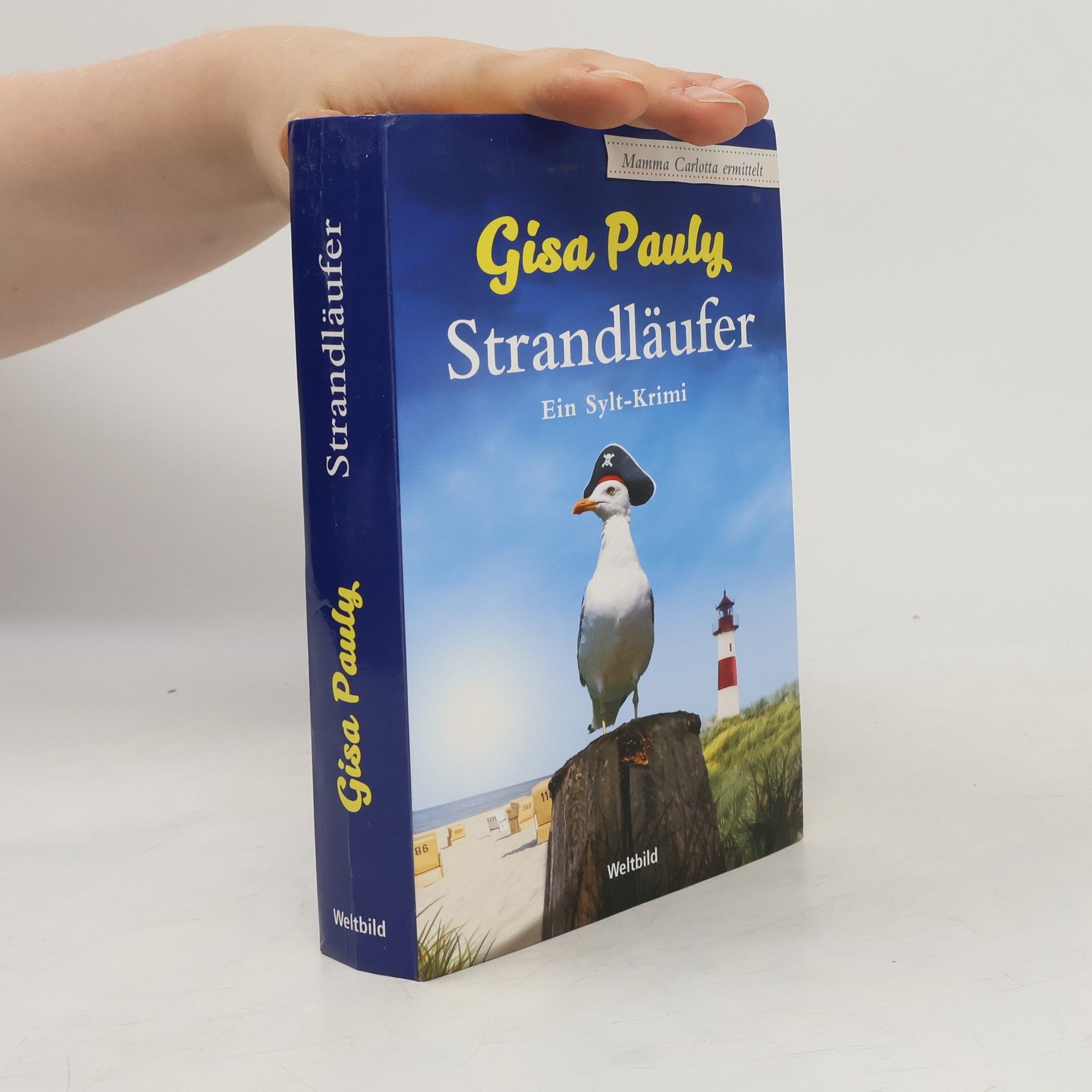 Gisa Pauly Strandläufer