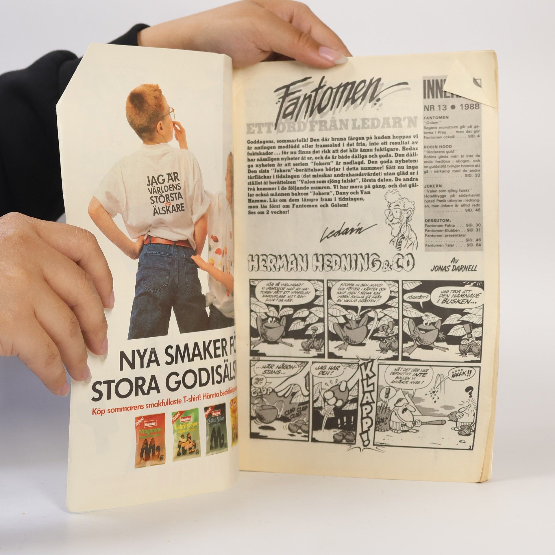 Autorenkollektiv Fantomen 13/1988