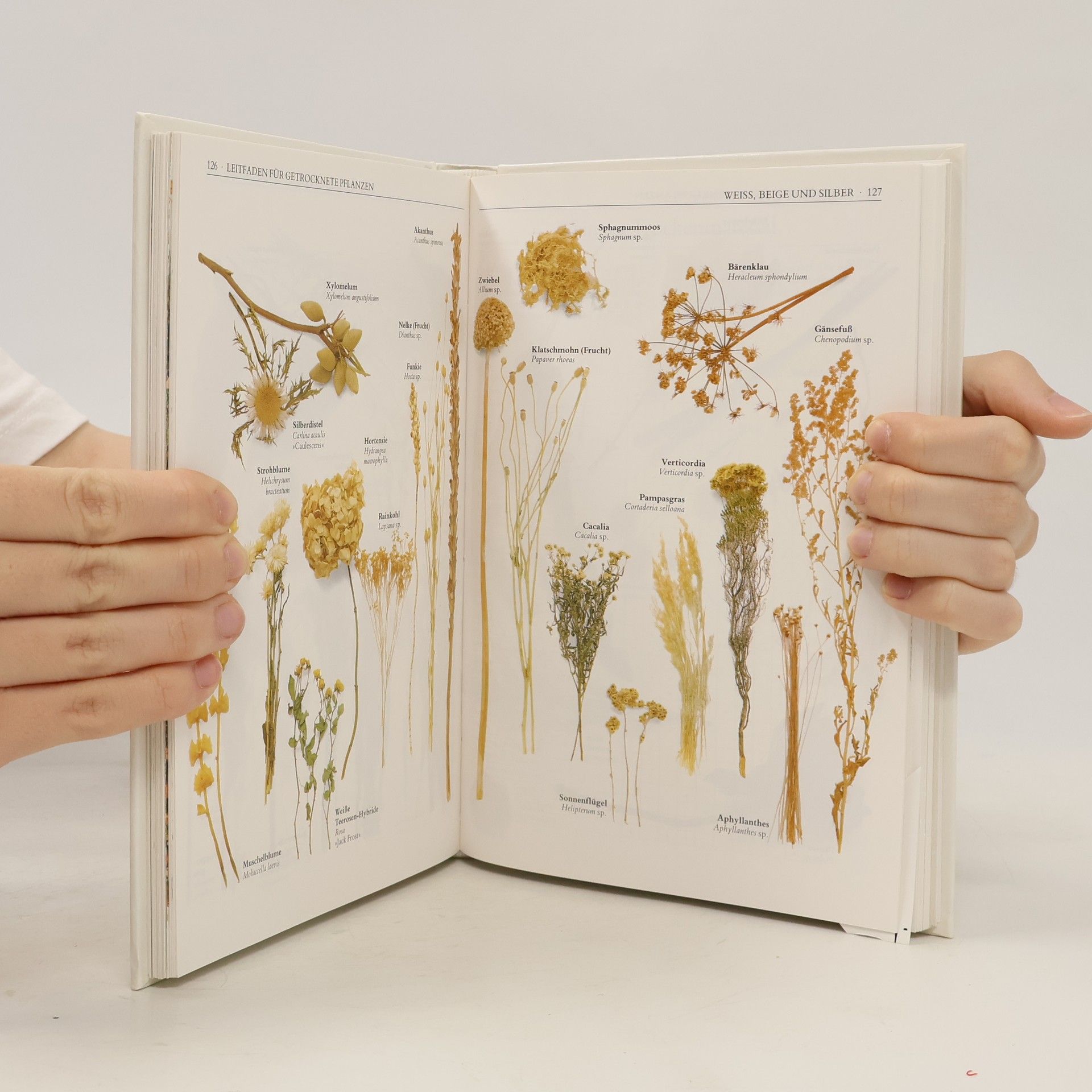 Edith Bora-Haber Gestalten mit Blumen