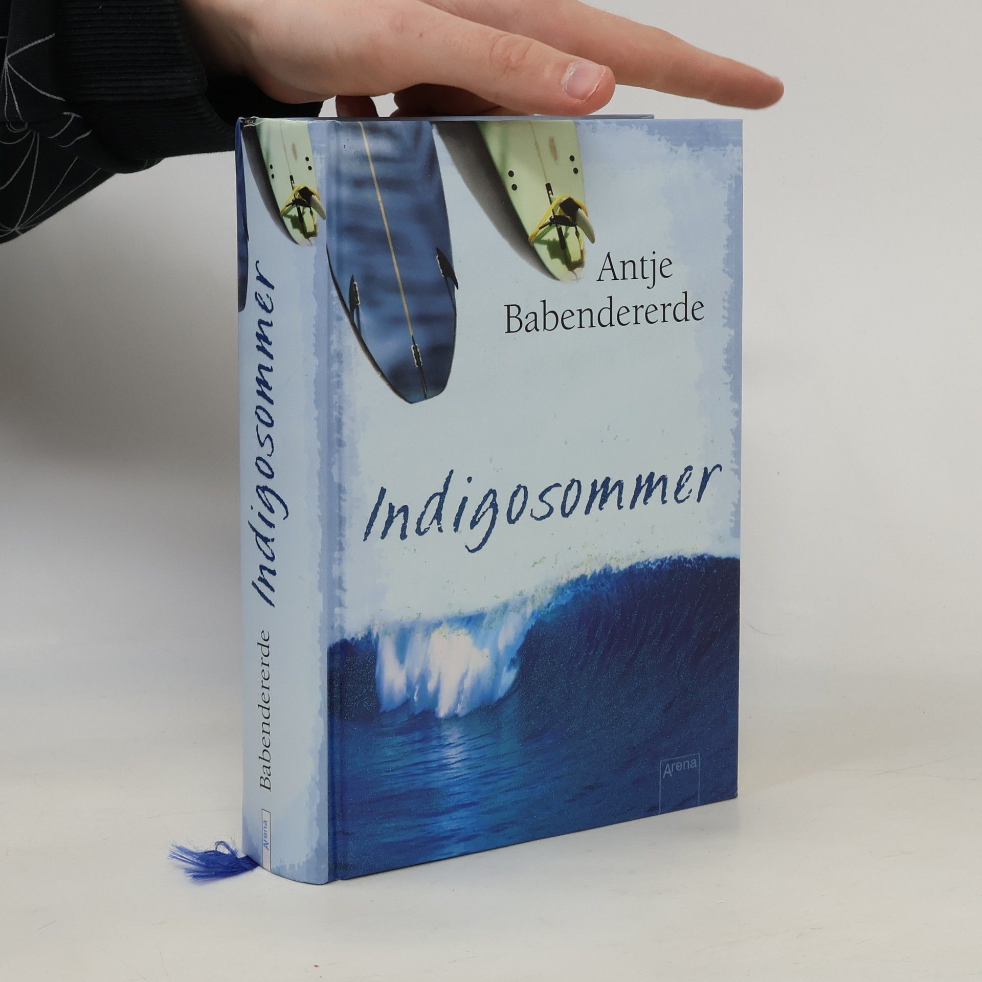 Antje Babendererde Indigosommer