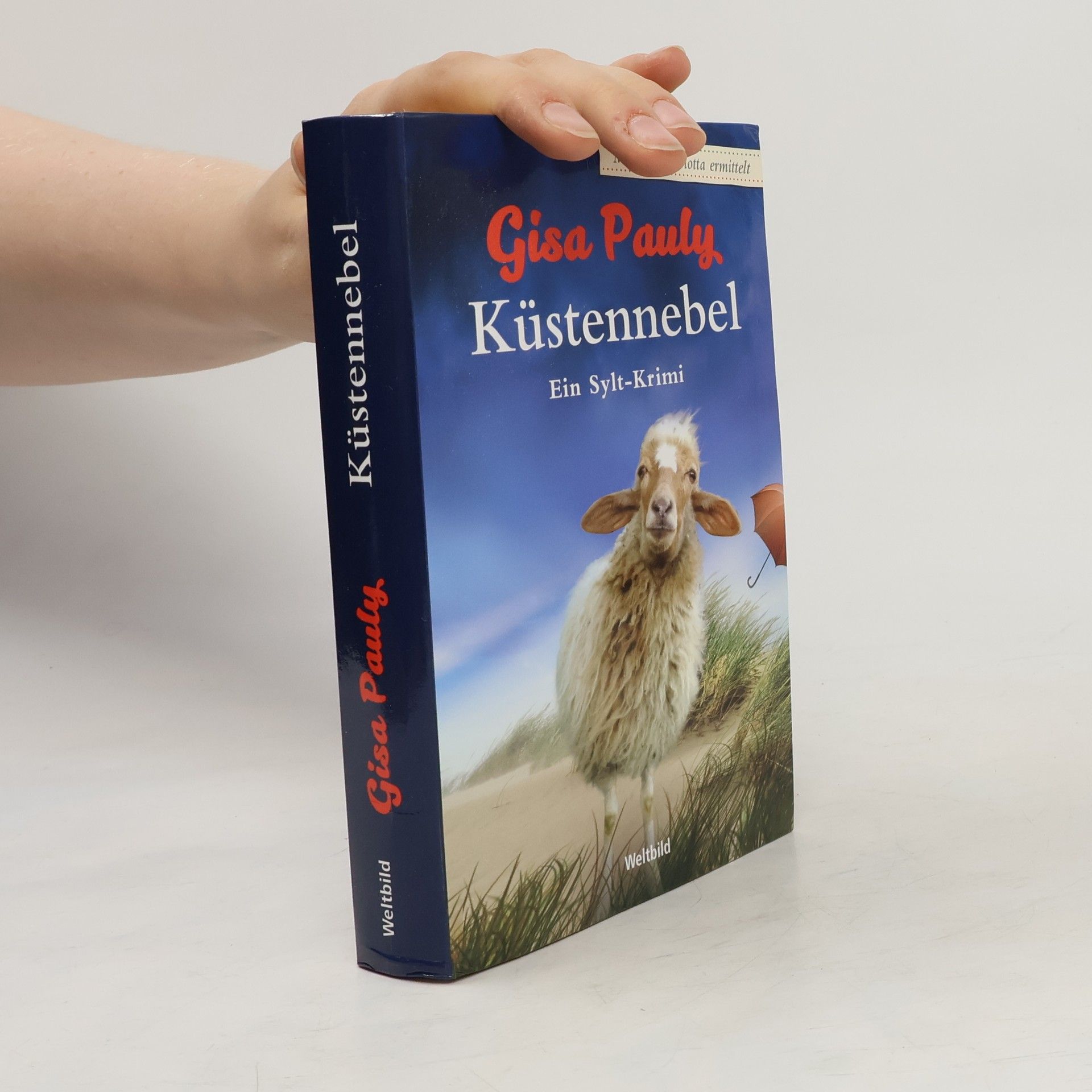 Gisela Pauly Küstennebel