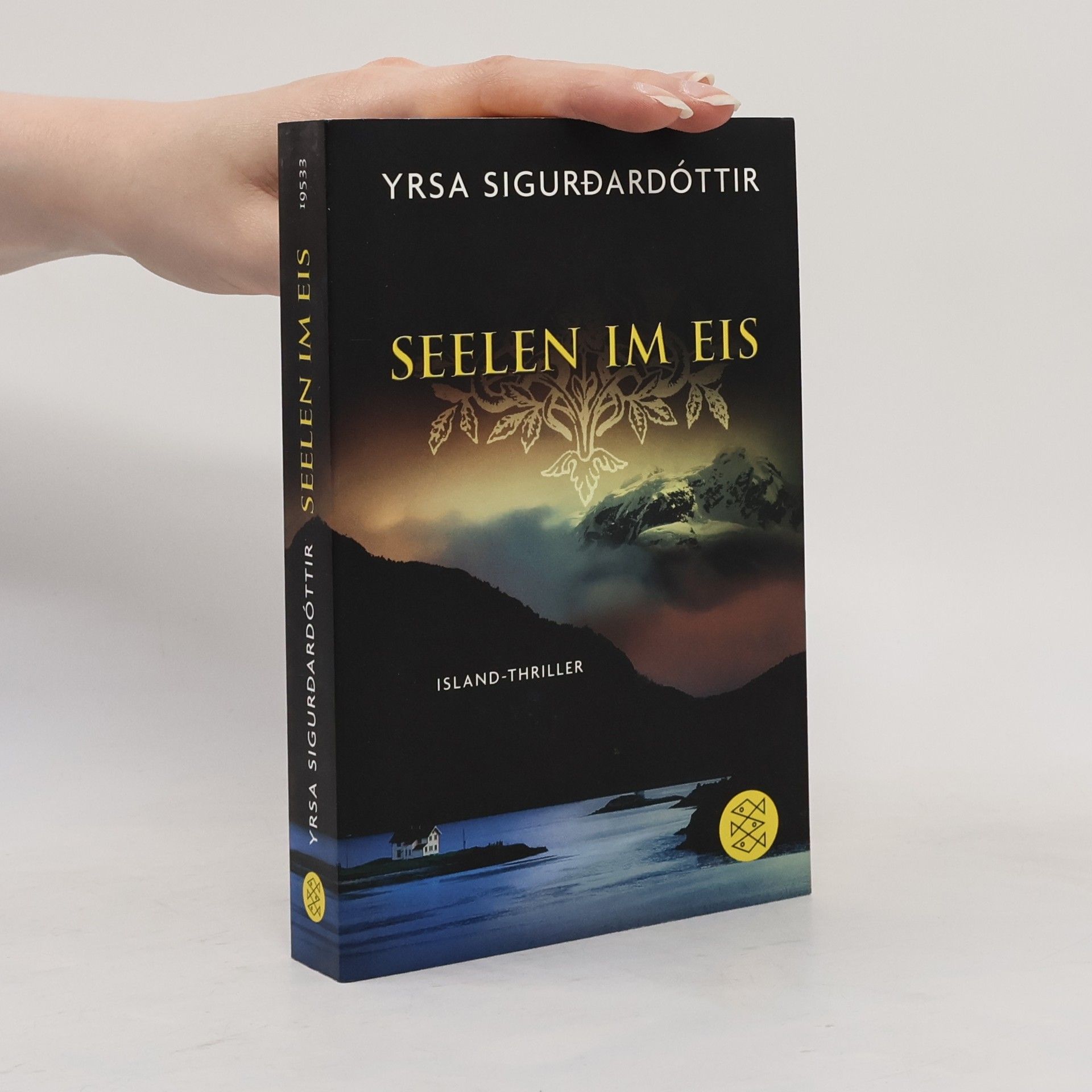 Yrsa Sigurðardóttir Seelen im Eis