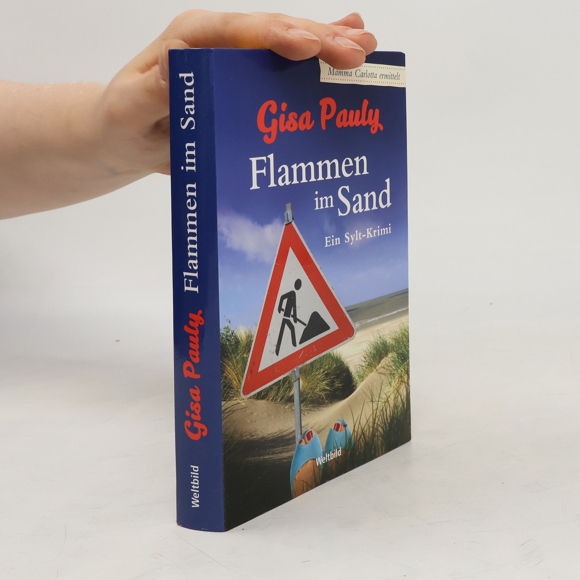 Gisa Pauly Flammen im Sand