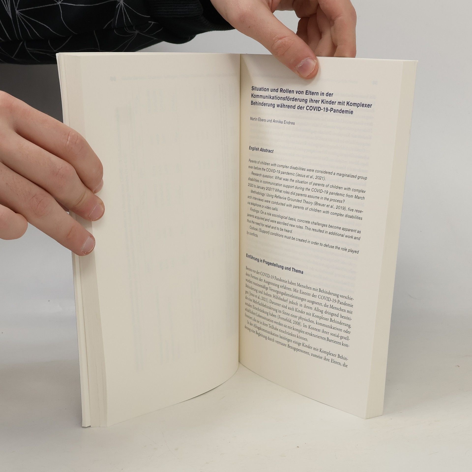 Ingeborg Henzler Extended Views