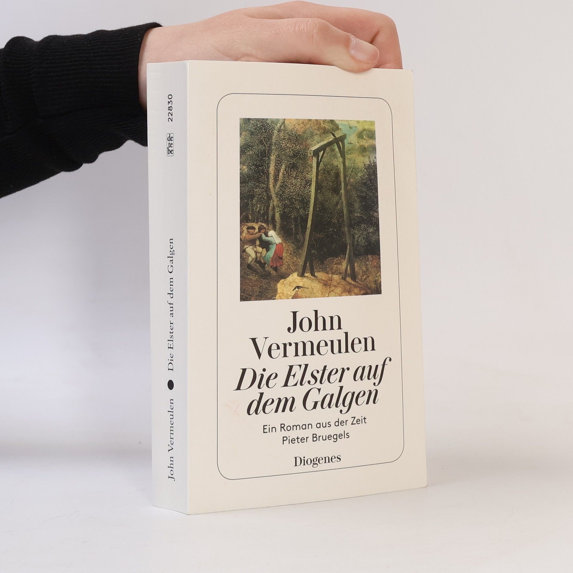 John Vermeulen Die Elster auf dem Galgen