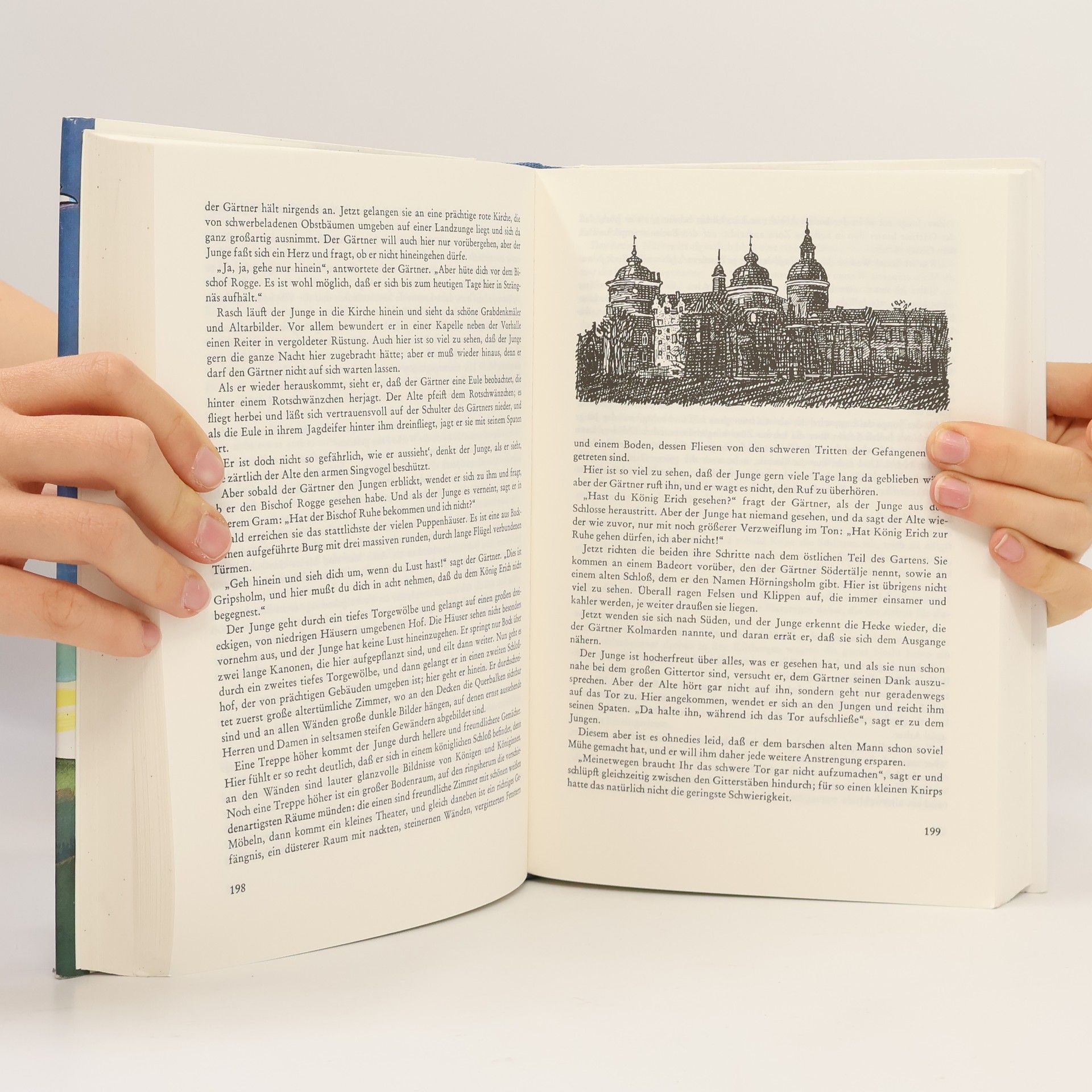 Selma Lagerlöf Wunderbare Reise des kleinen Nils Holgersson mit den Wildgänsen