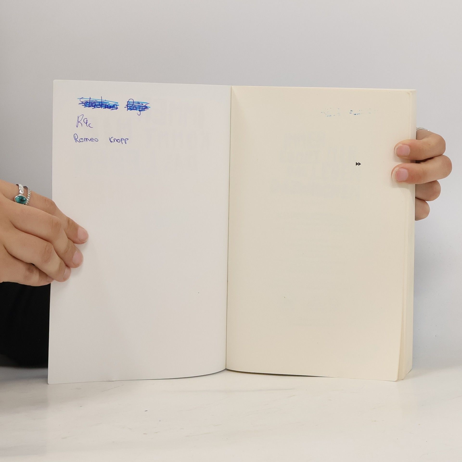 Kathrin Schrocke Immer kommt mir das Leben dazwischen