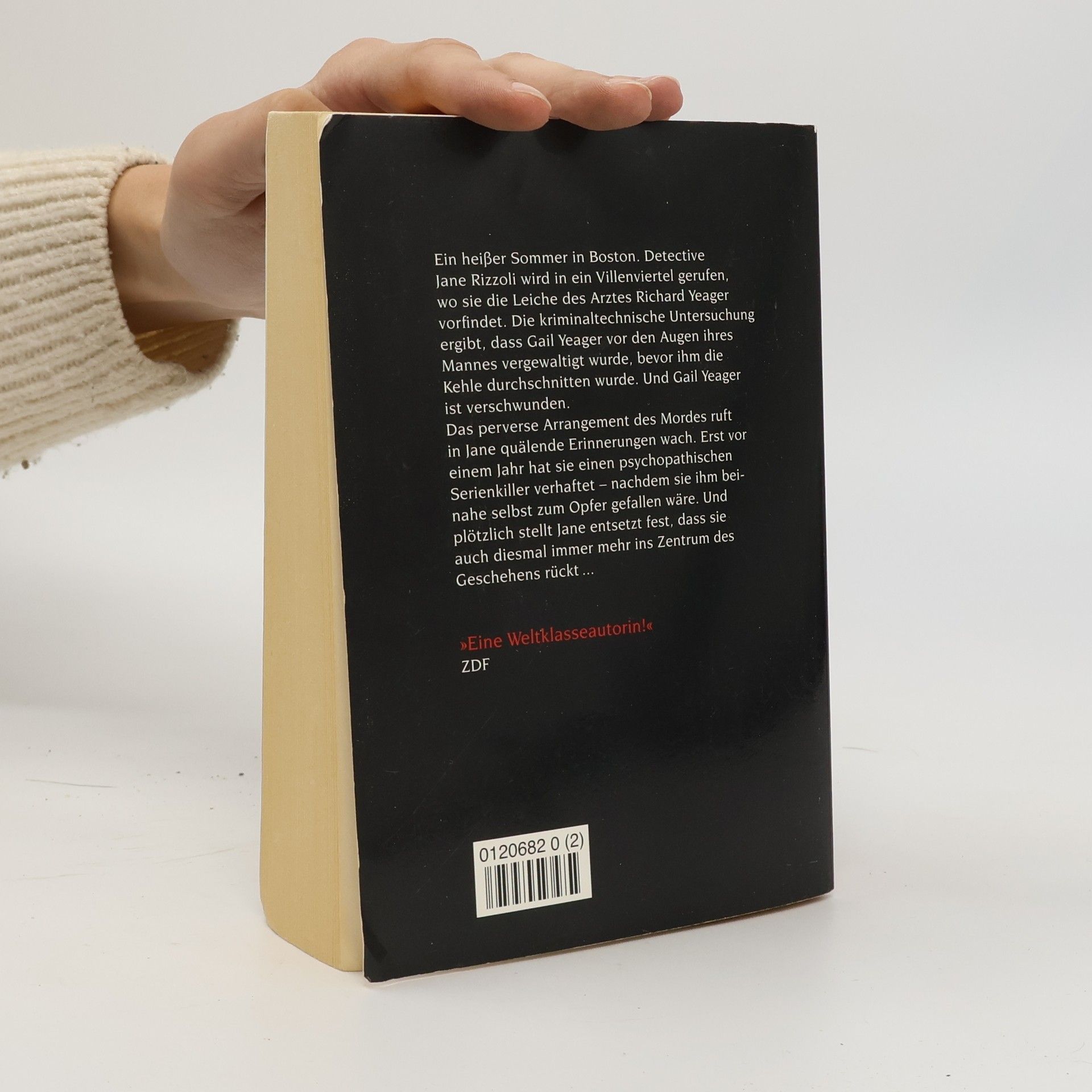Tess Gerritsen Der Meister