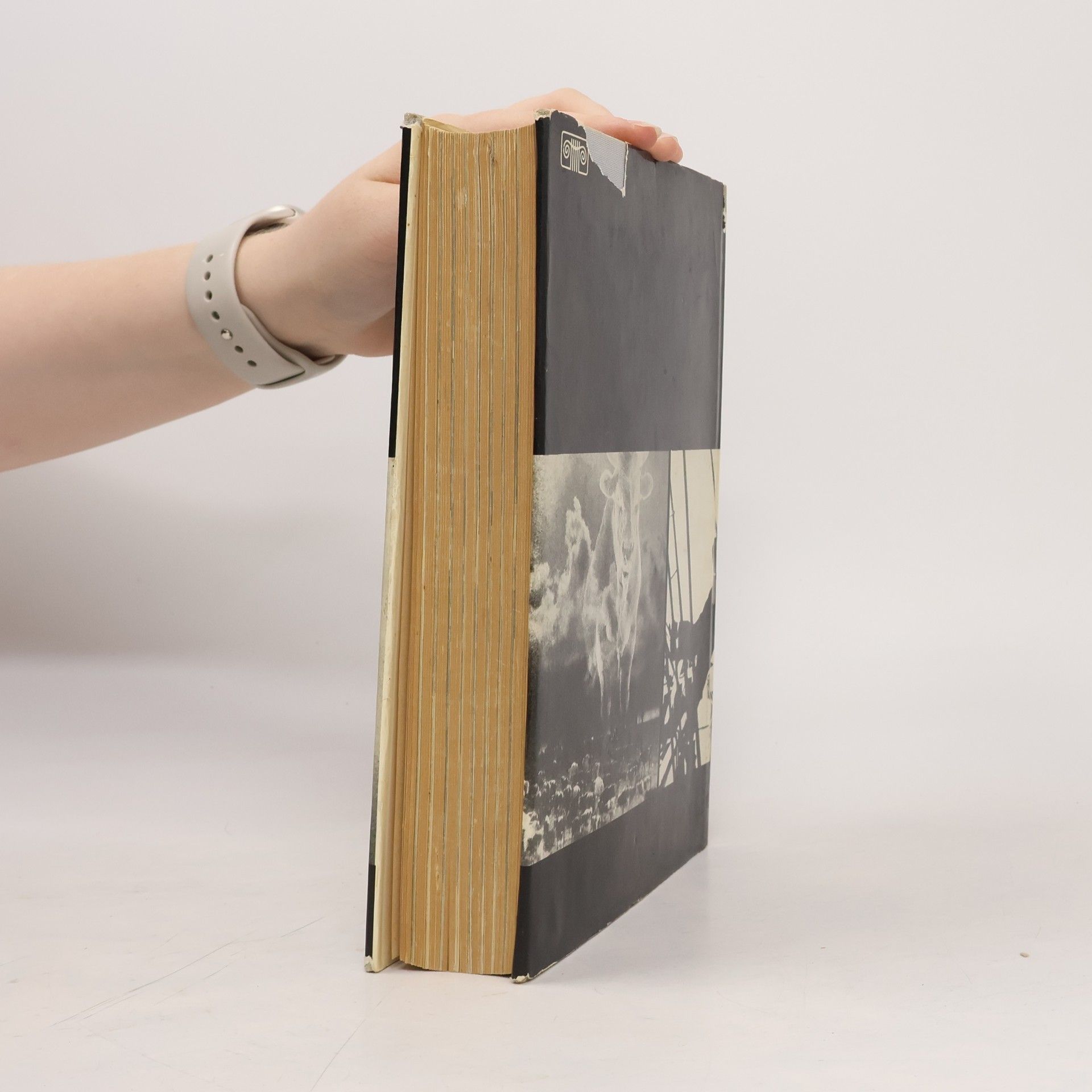 Jerzy Toeplitz Geschichte des Films svazek 1 1895-1928
