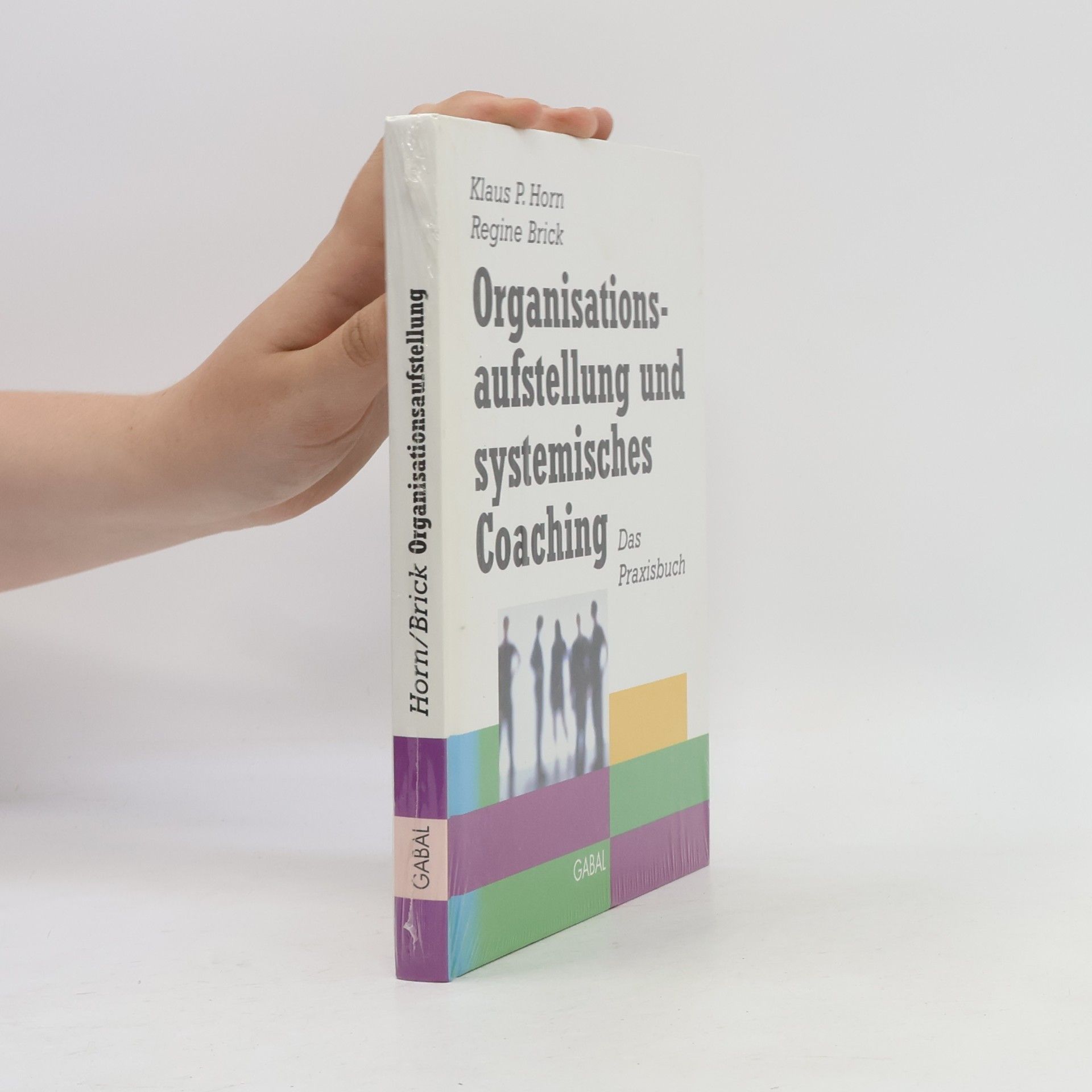 Klaus-Peter Horn Organisationsaufstellung und systemisches Coaching