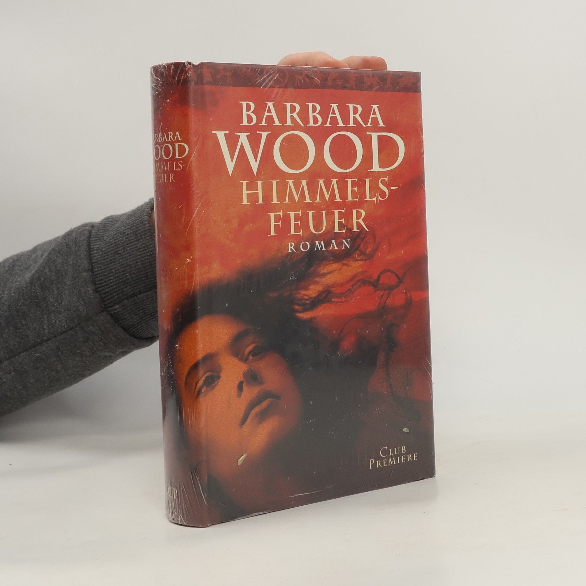 Barbara Wood Himmelsfeuer