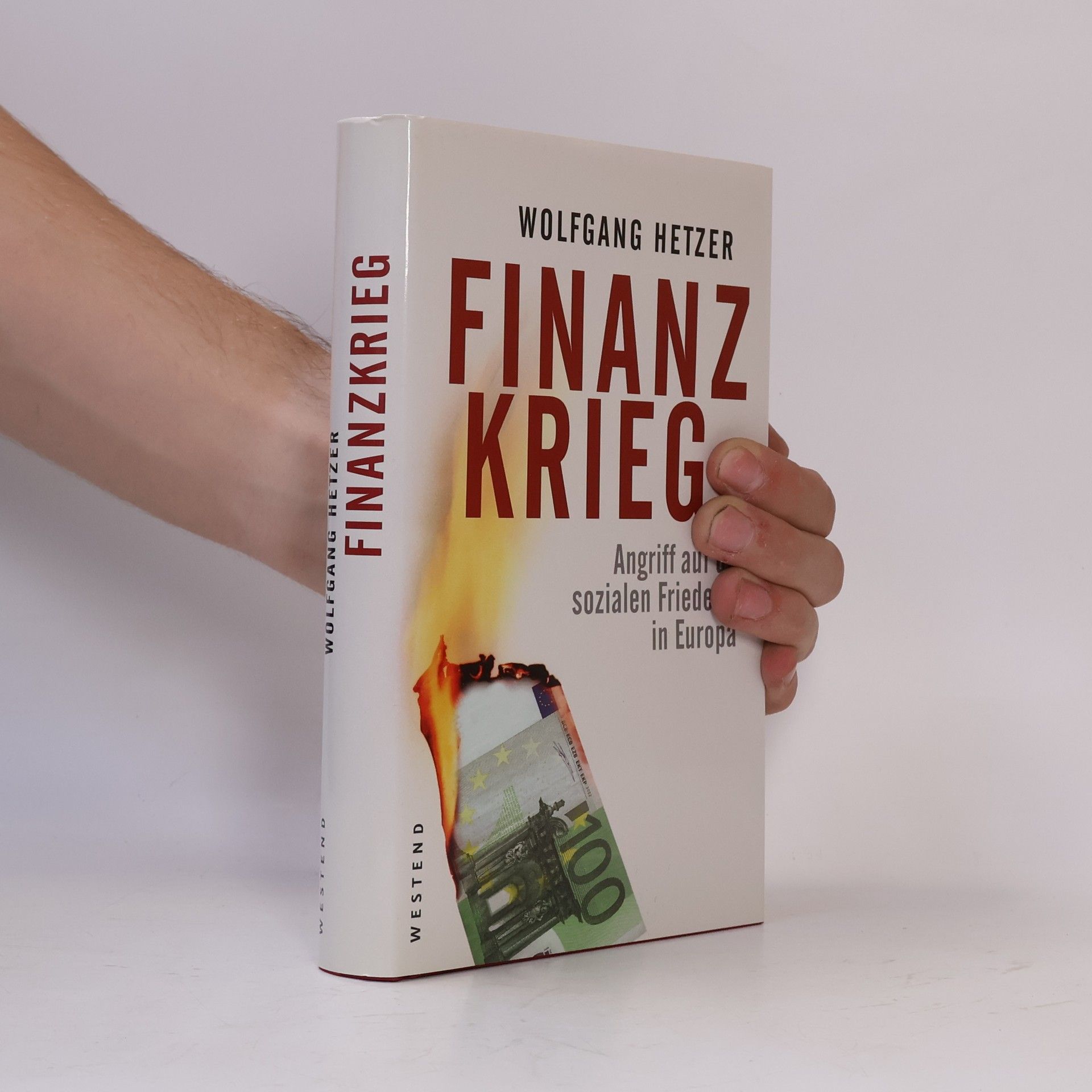 Wolfgang Hetzer Finanzkrieg