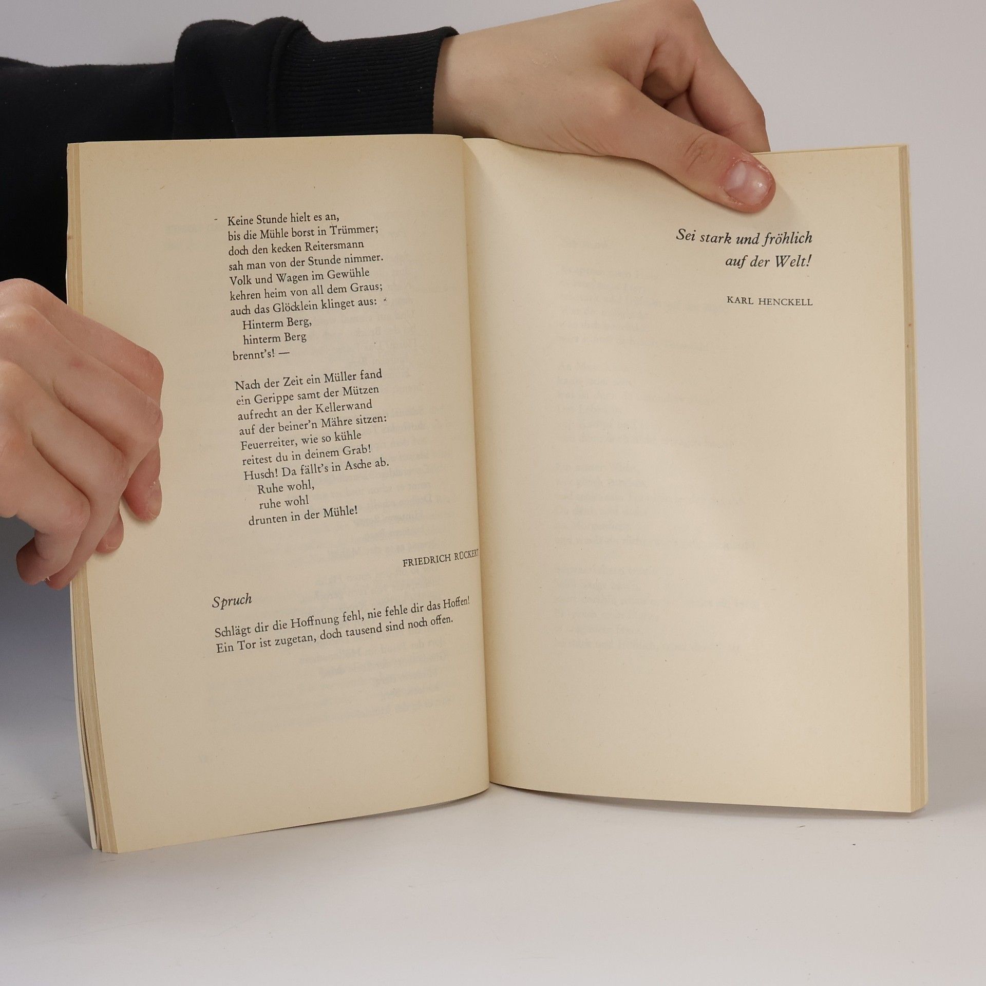 Autorenkollektiv Aus dem Reich der Dichtung III