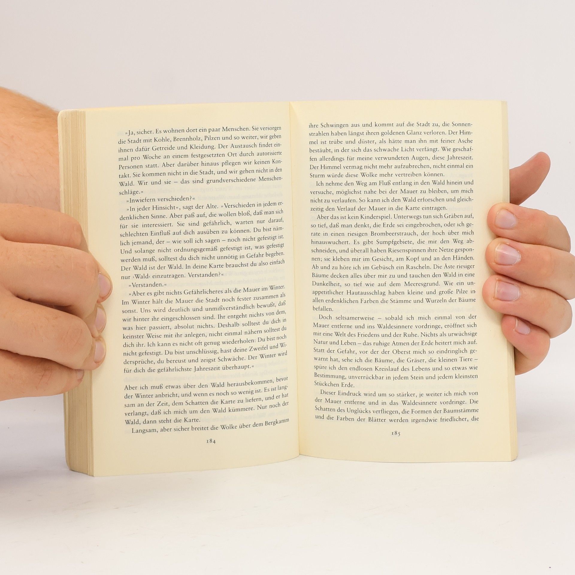 Haruki Murakami Hard boiled wonderland und das Ende der Welt