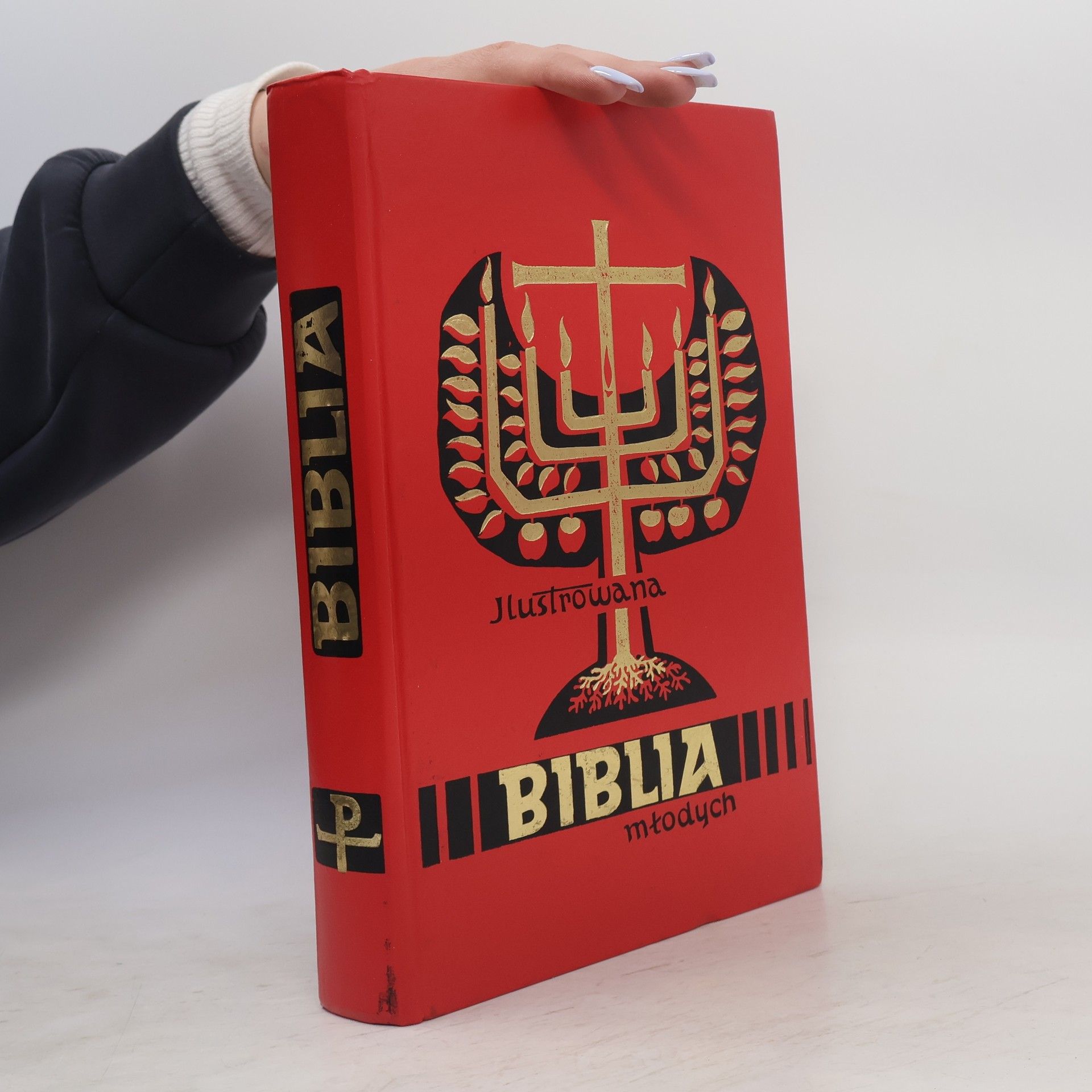 Kolektiv autorů Ilustrowana Biblia młodych