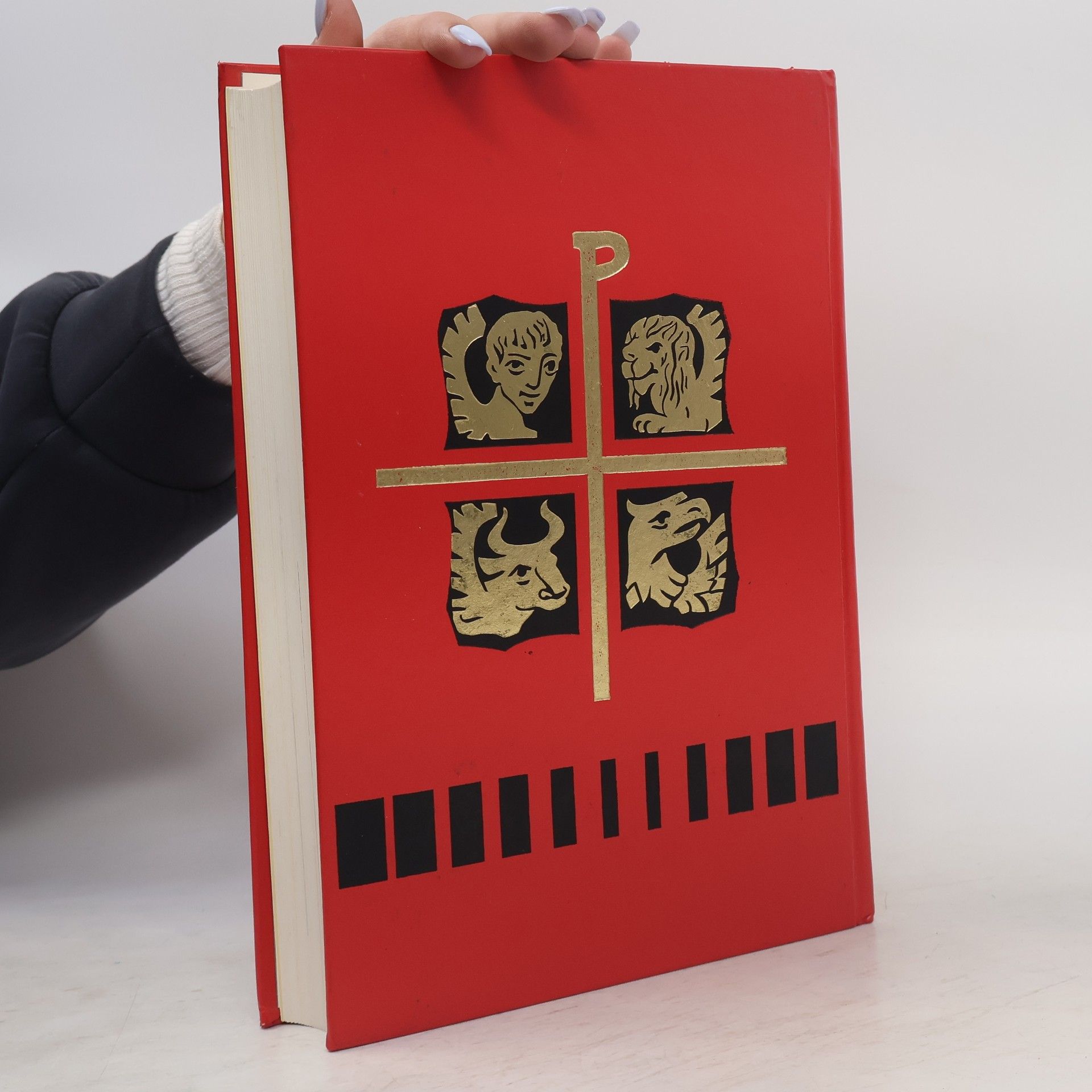 Kolektiv autorů Ilustrowana Biblia młodych