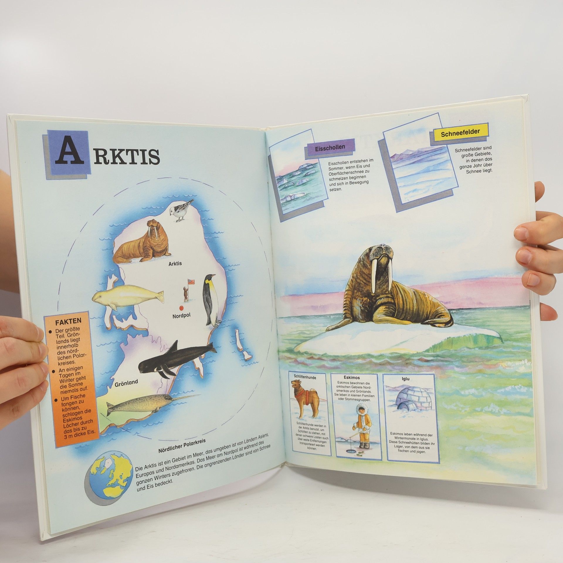 Welt-Atlas