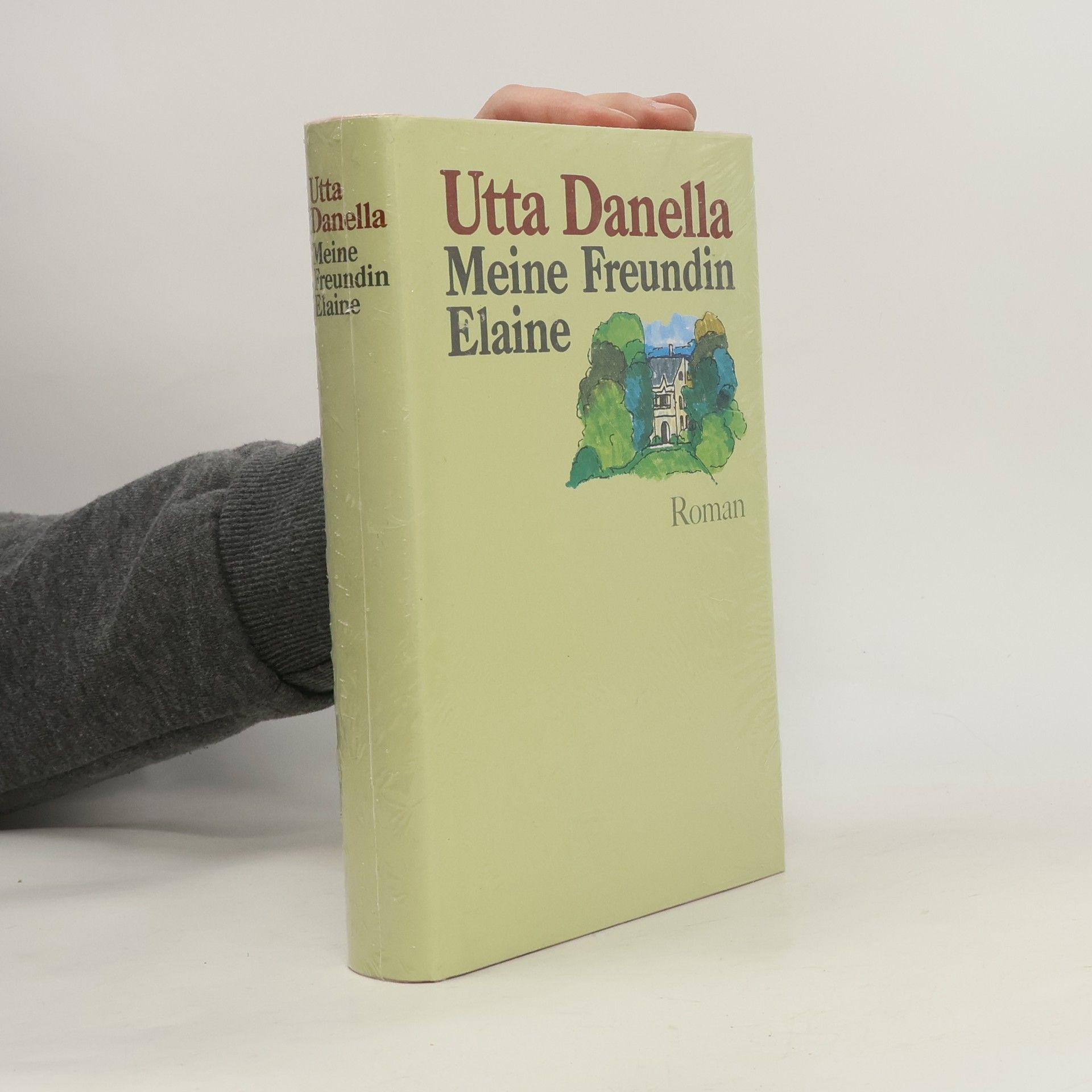 Utta Danella Meine Freundin Elaine