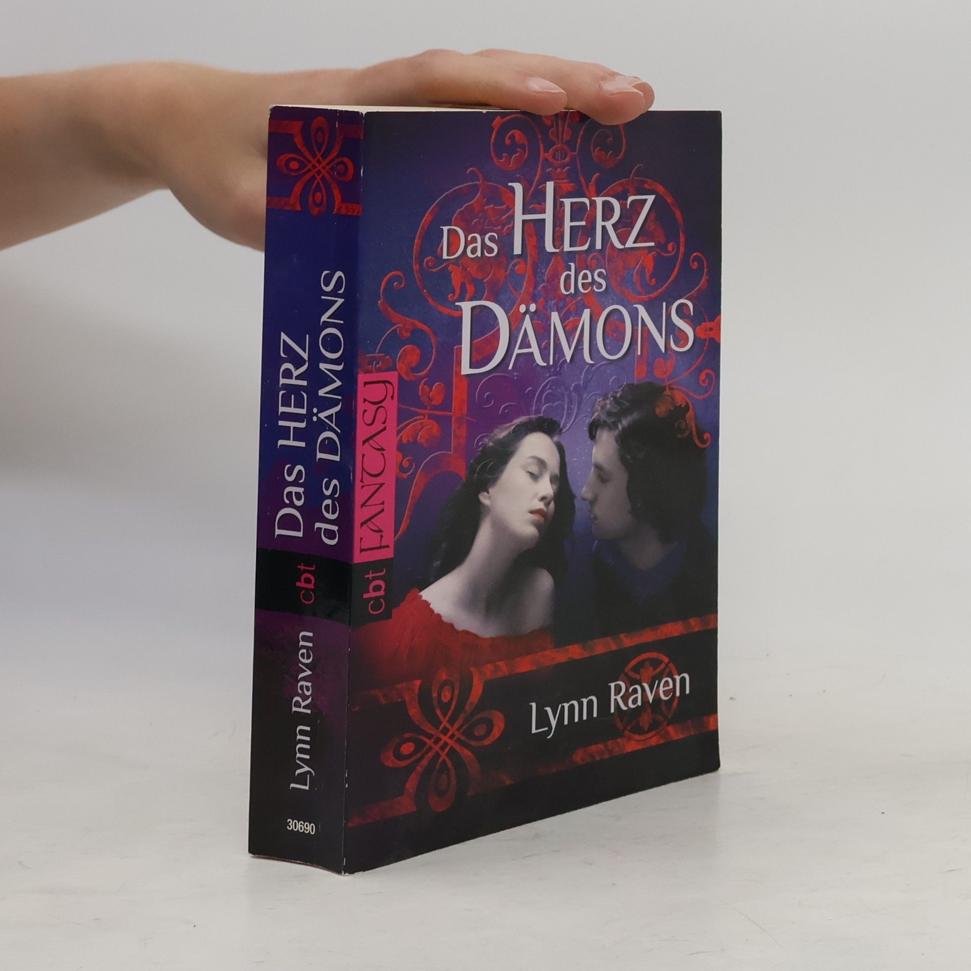 Lynn Raven Das Herz des Dämons