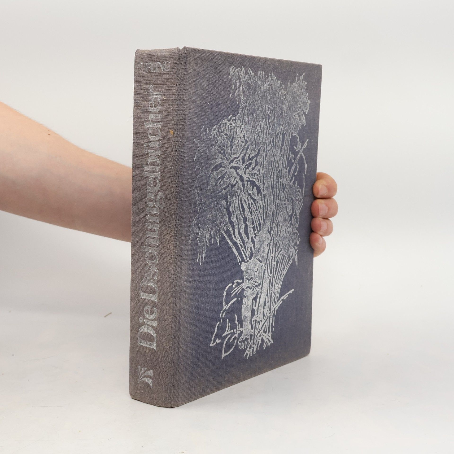 Rudyard Kipling Die Dschungelbücher