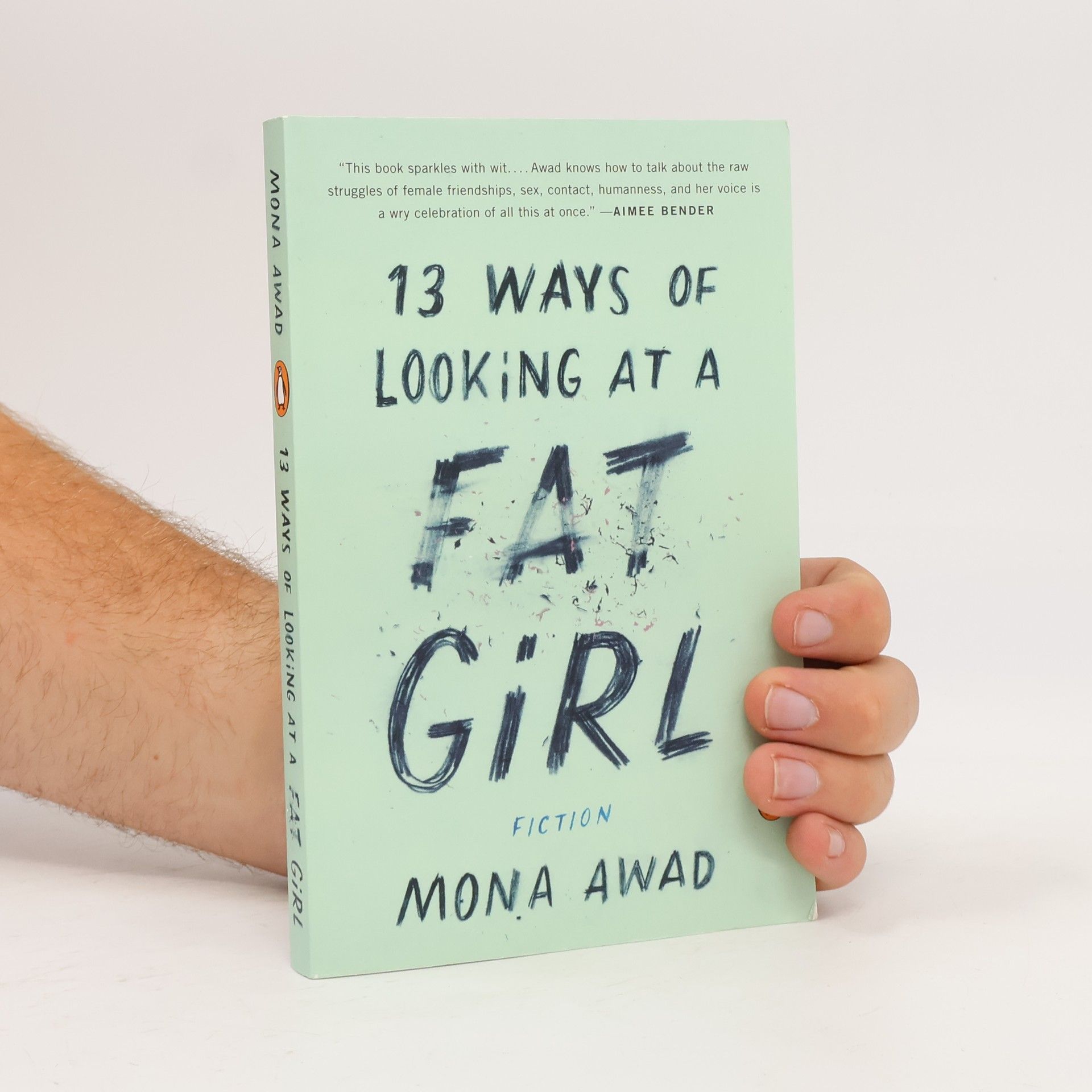 Mona Awad 13 ways of looking at a fat girl