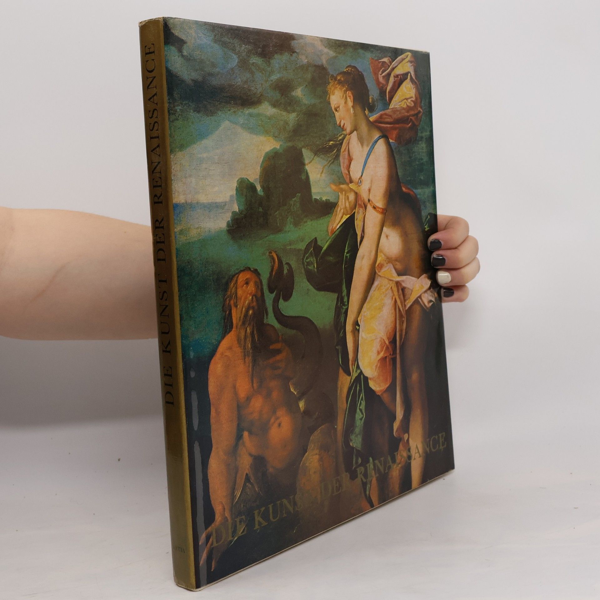 Autorenkollektiv Die Kunst der Renaissance