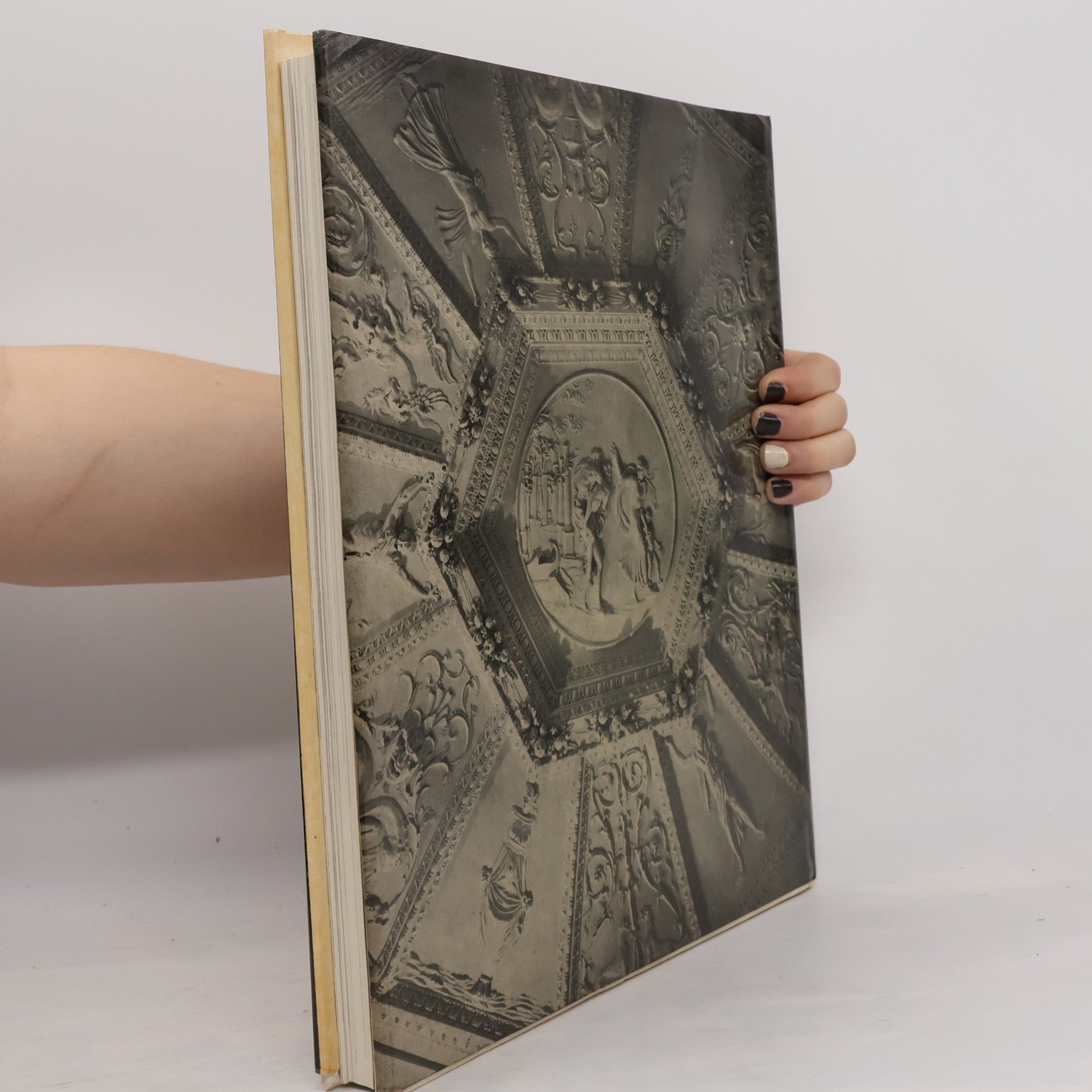 Autorenkollektiv Die Kunst der Renaissance