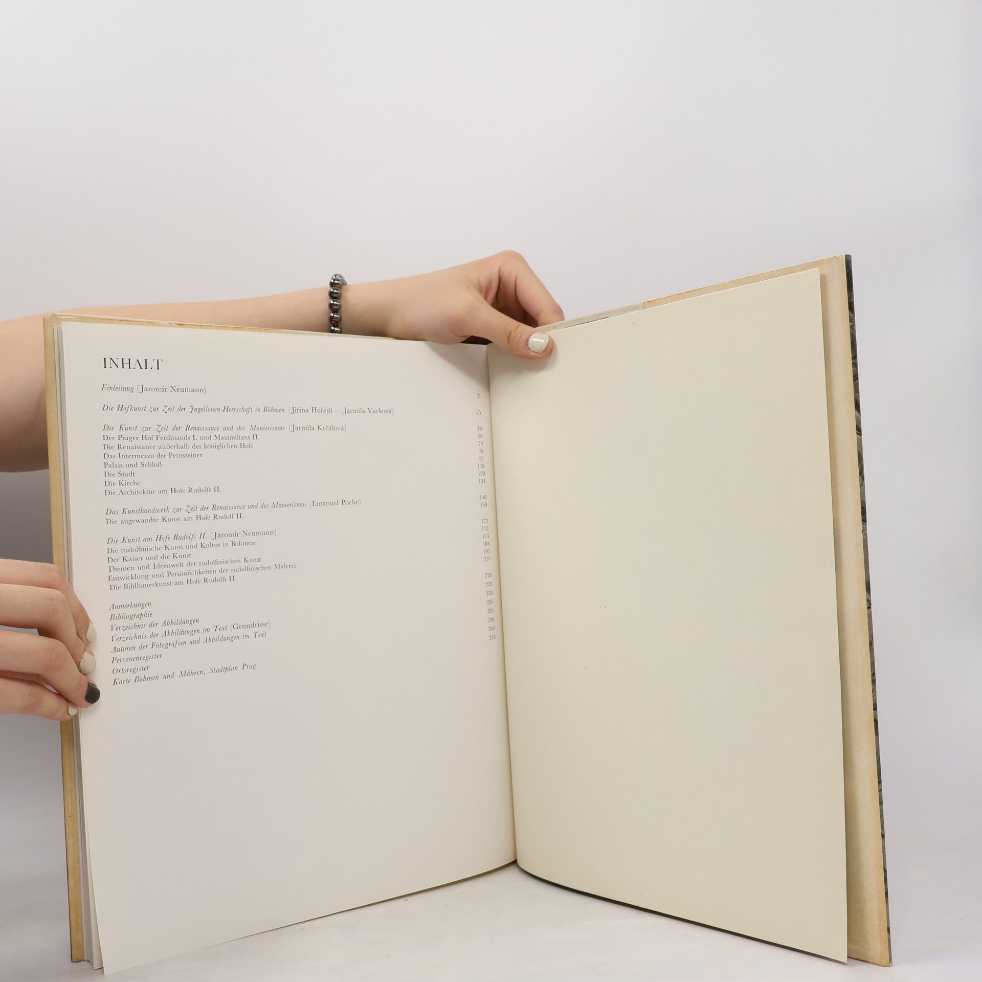 Autorenkollektiv Die Kunst der Renaissance
