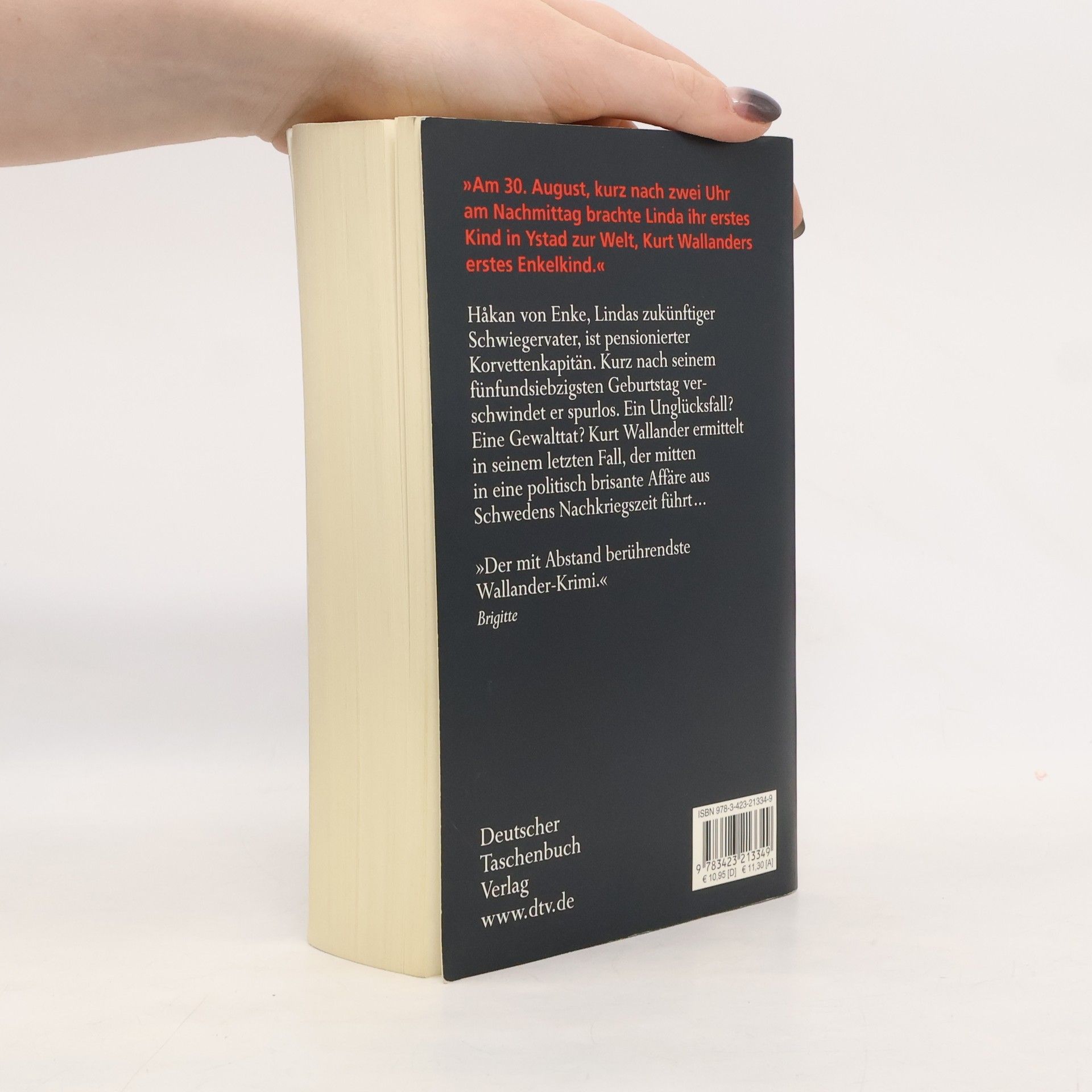 Henning Mankell Der Feind im Schatten