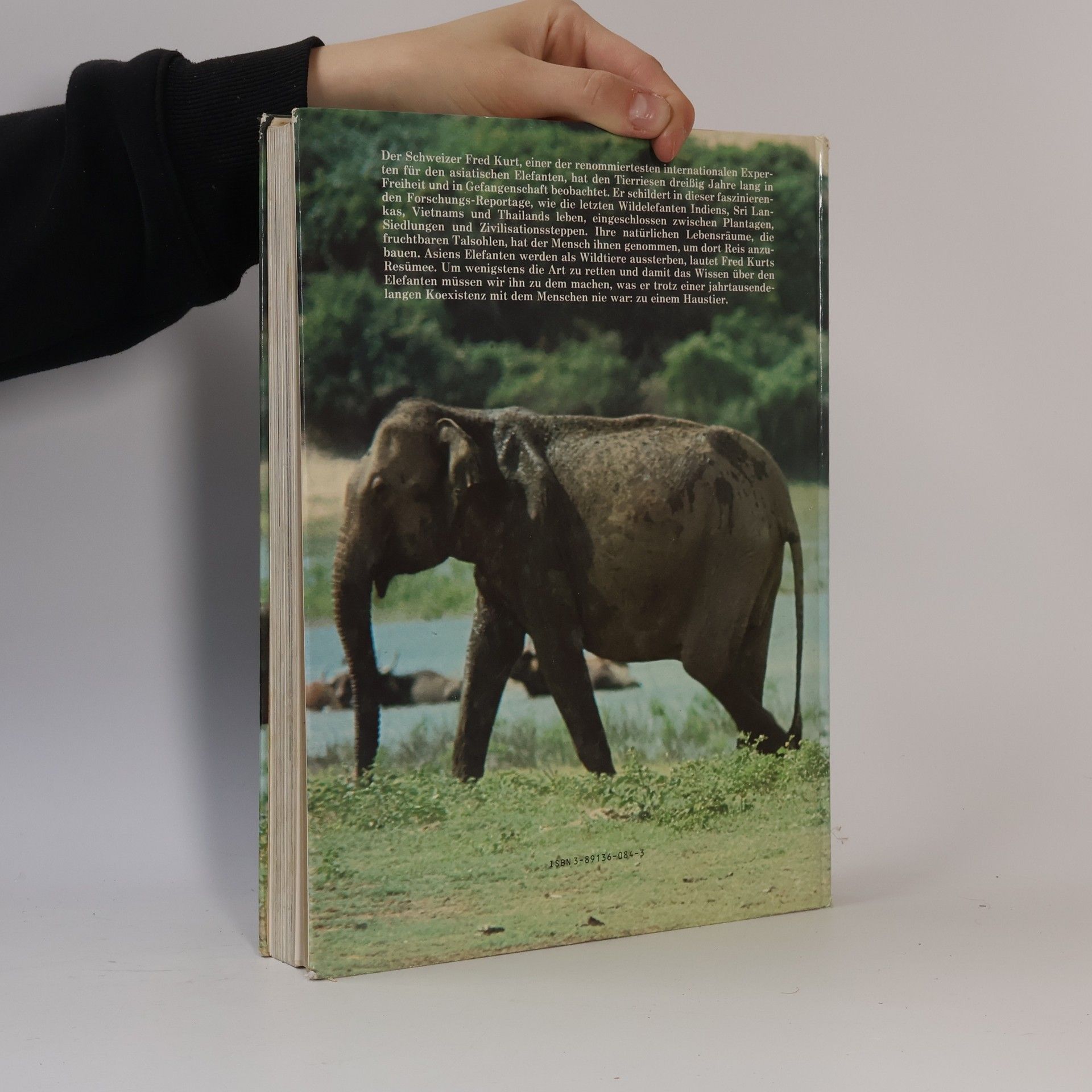 Fred Kurt Das Elefantenbuch