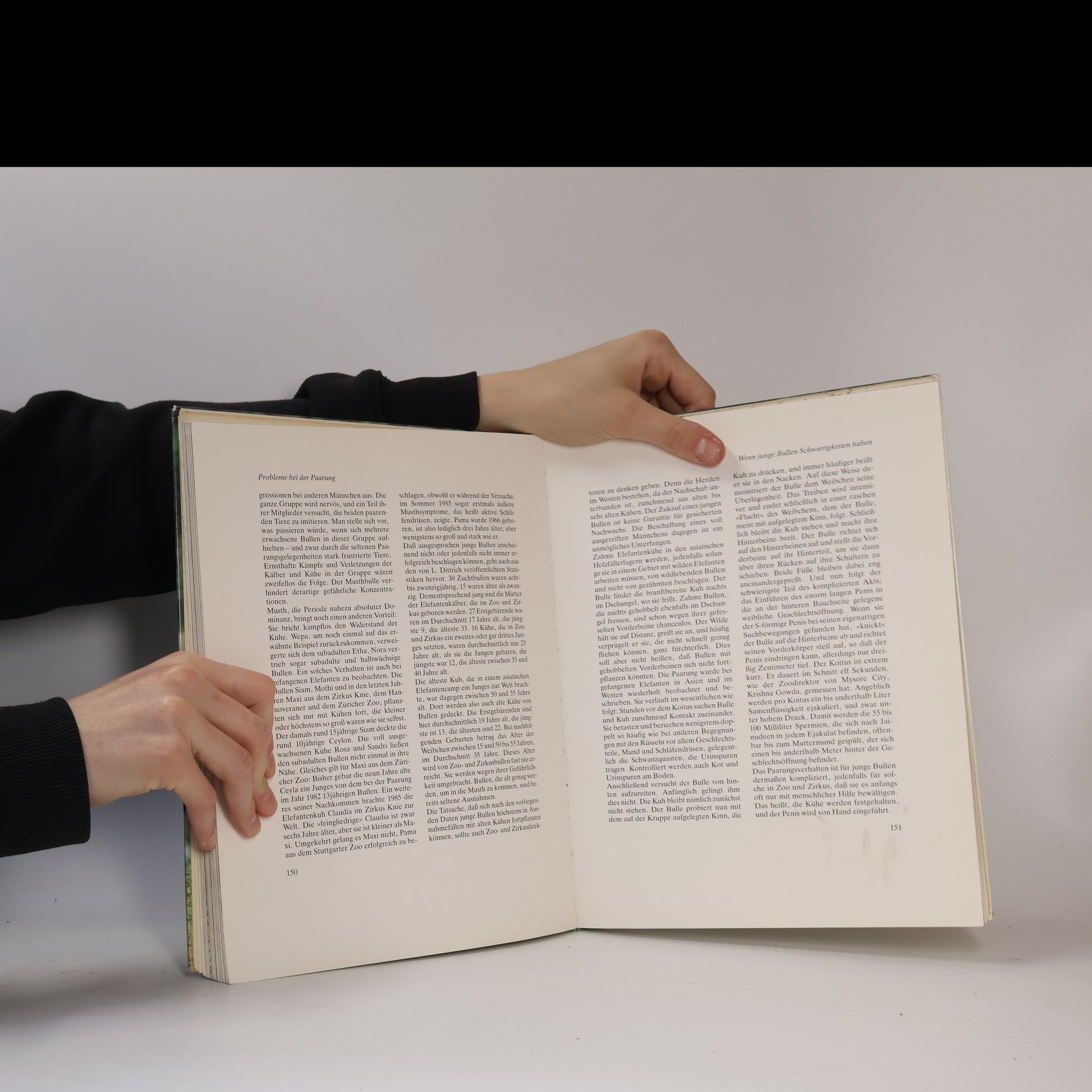 Fred Kurt Das Elefantenbuch