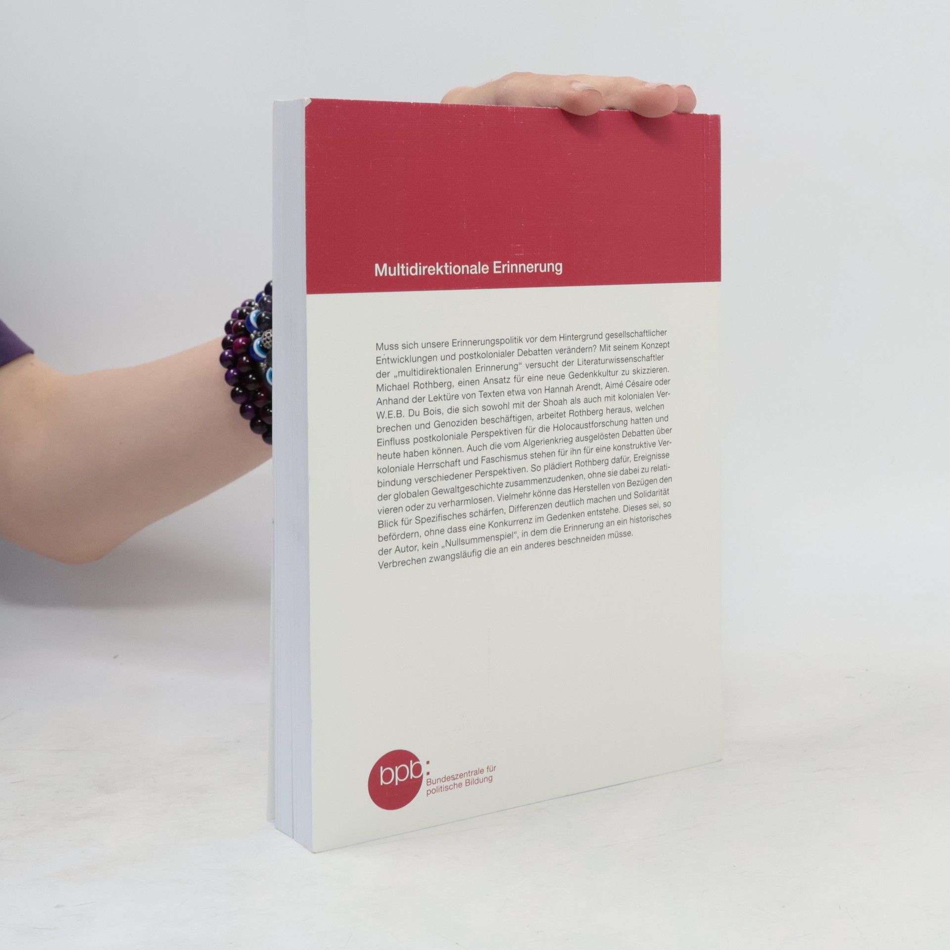 Michael Rothberg Multidirektionale Erinnerung
