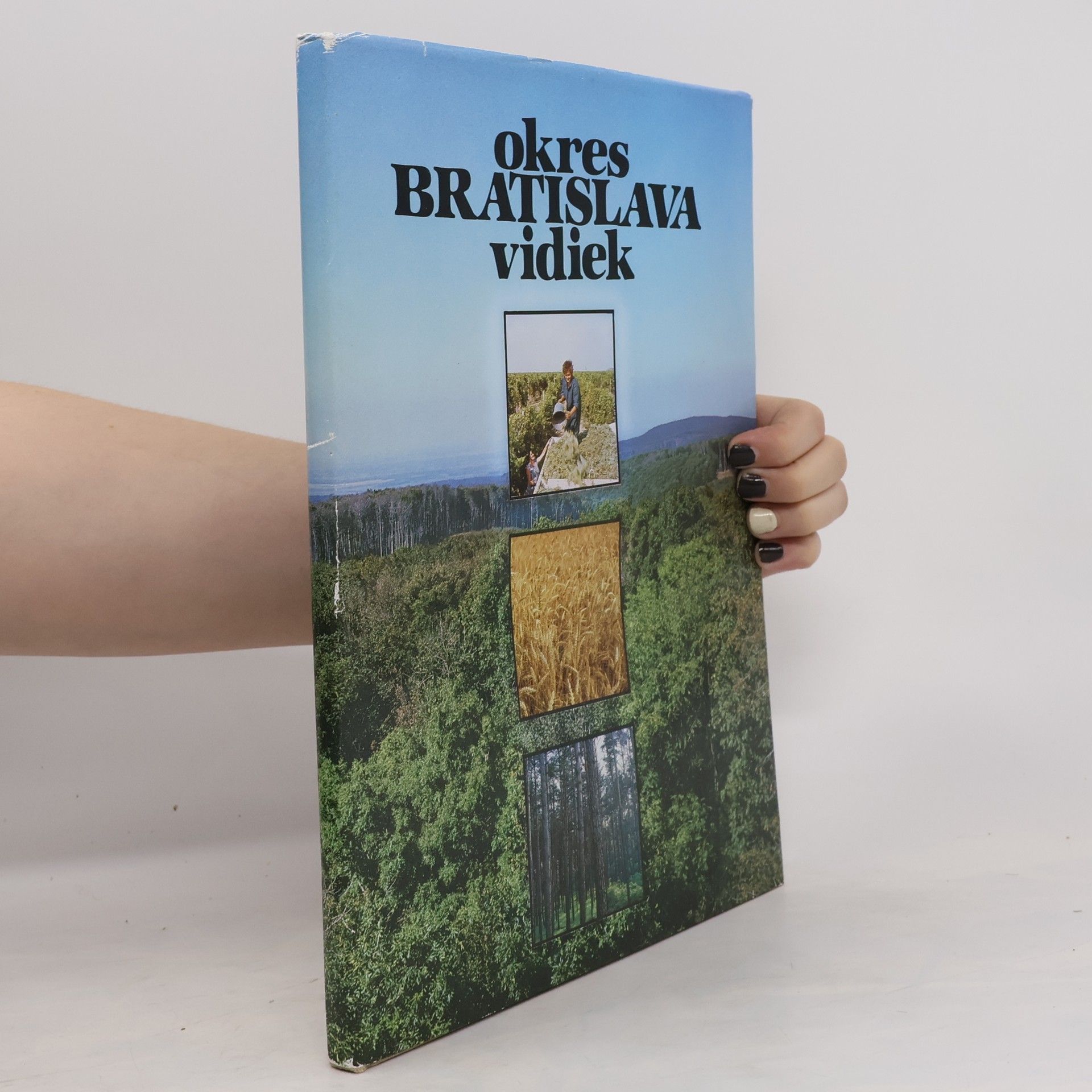 Kolektiv autorů Okres Bratislava vidiek