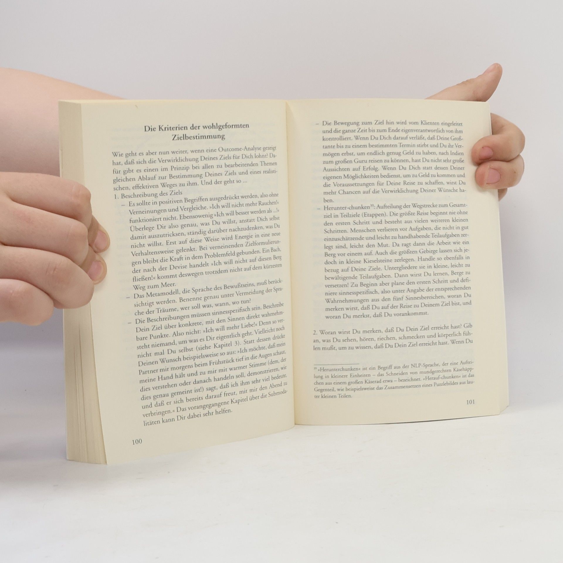 Walter Lübeck Handbuch des spirituellen NLP